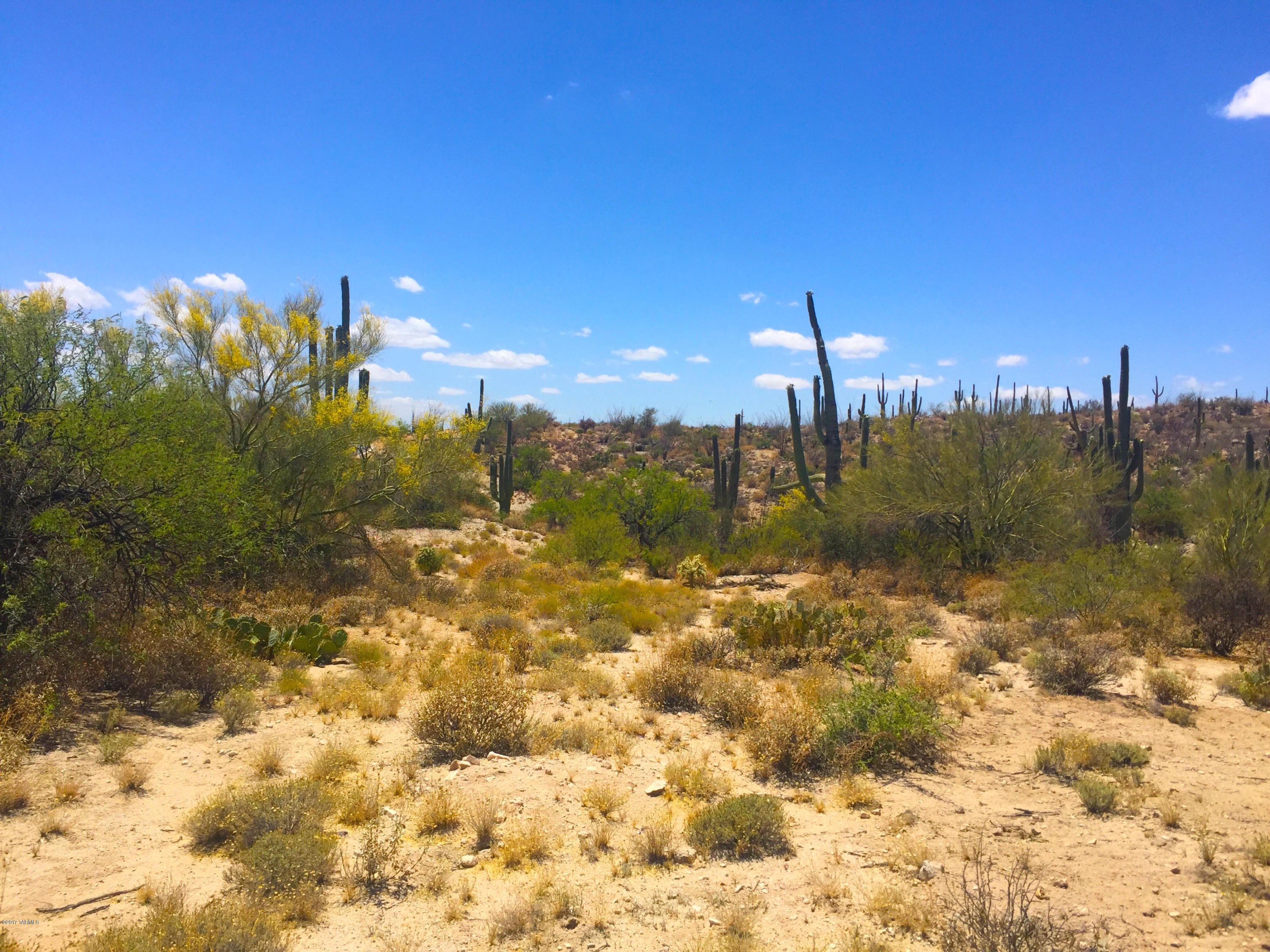 Stone Canyon VIII (486-602) - Land
