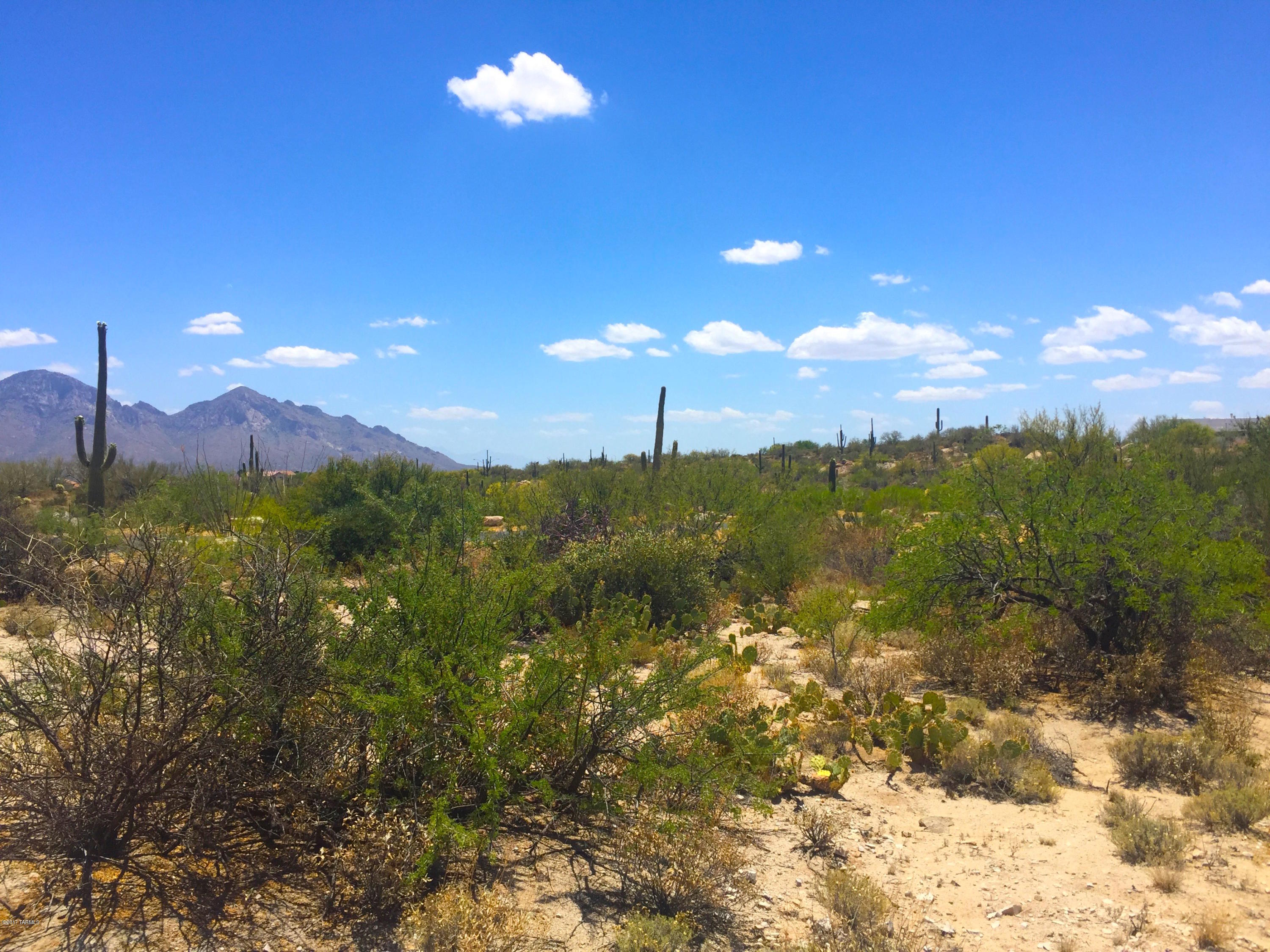 Stone Canyon VIII (486-602) - Land