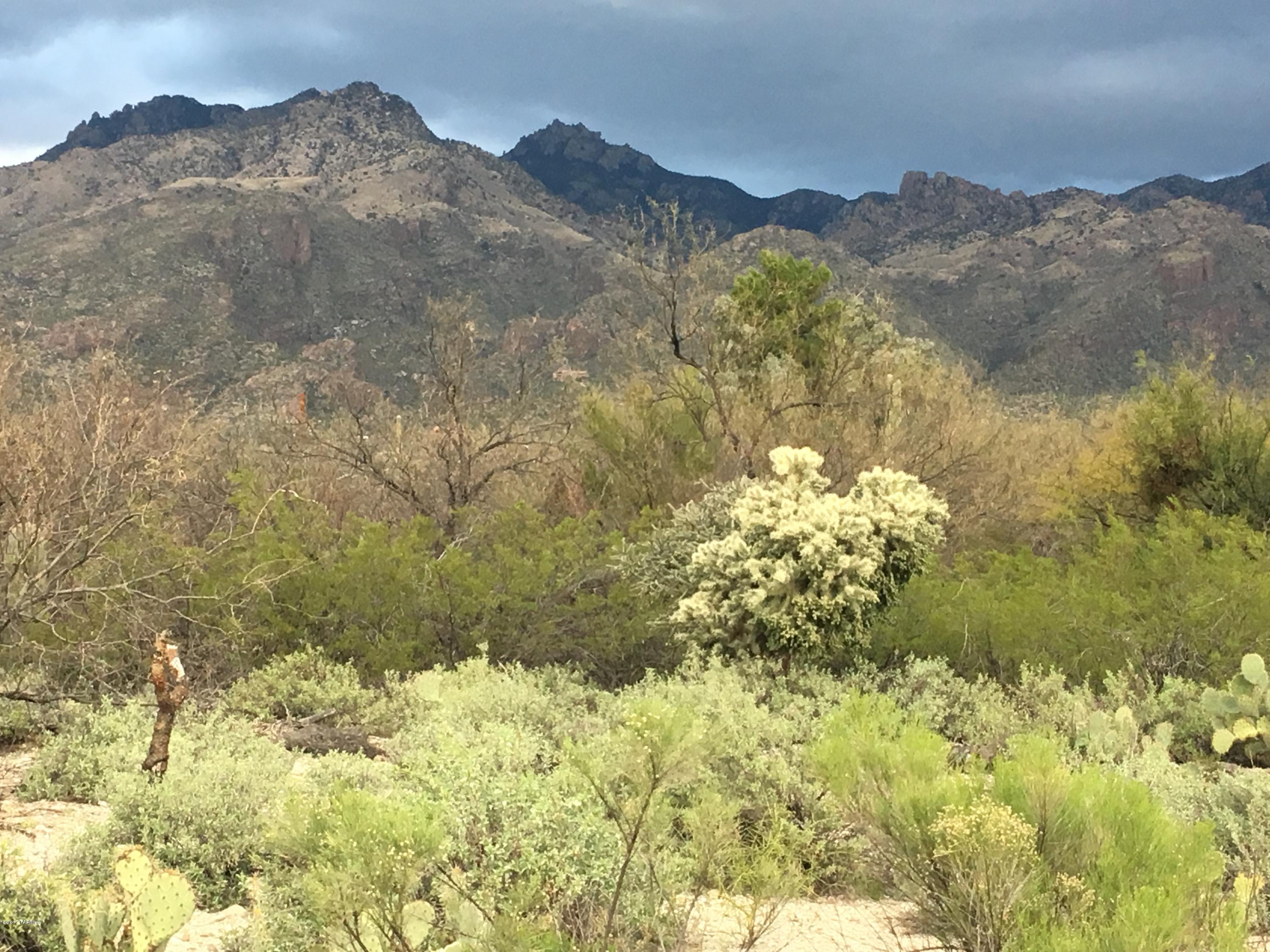 Sabino Town And Country Estates (1-77) - Land