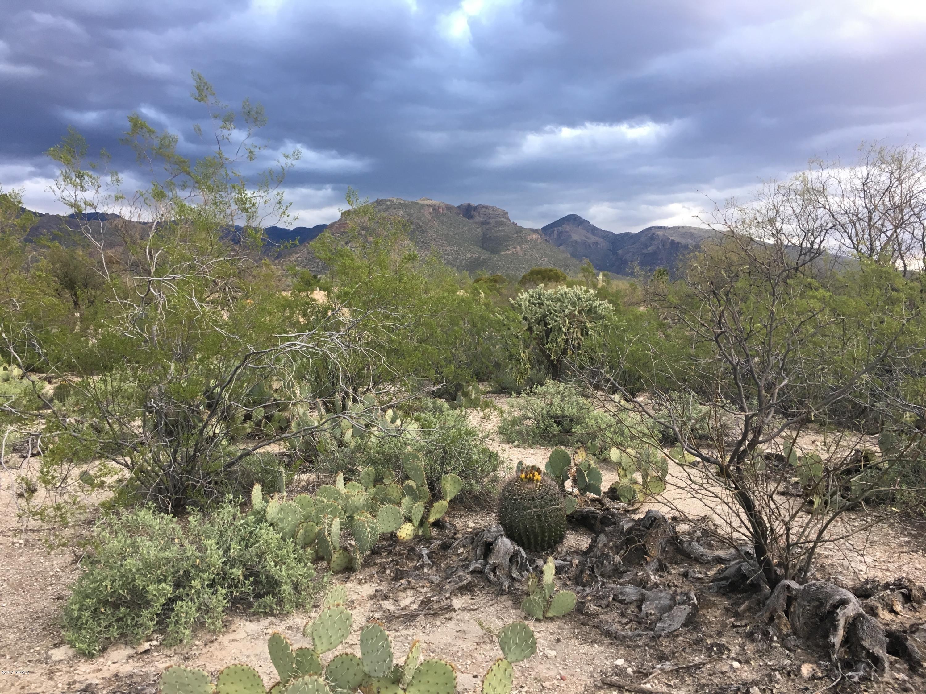 Sabino Town And Country Estates (1-77) - Land
