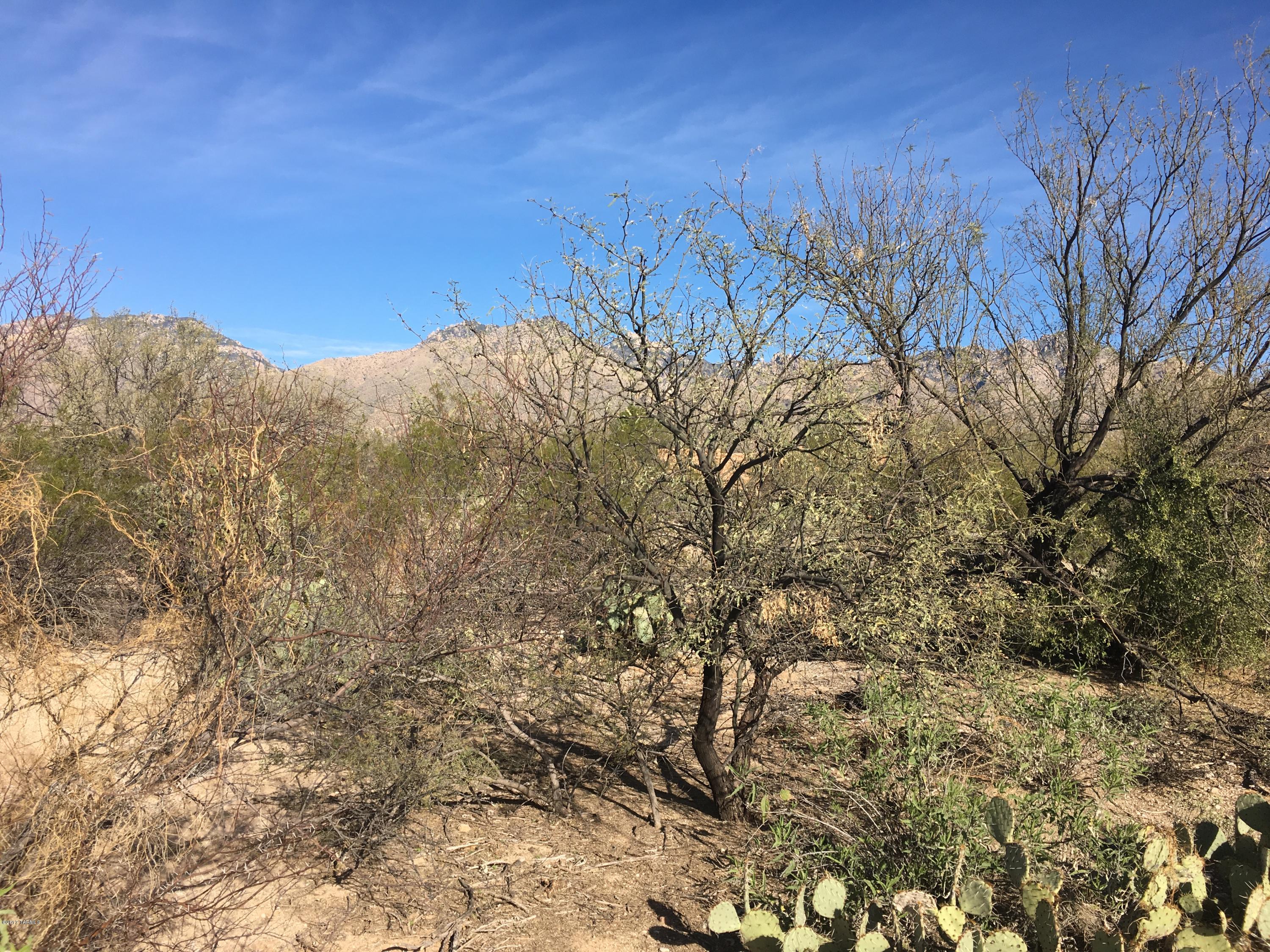 Sabino Town And Country Estates (1-77) - Land