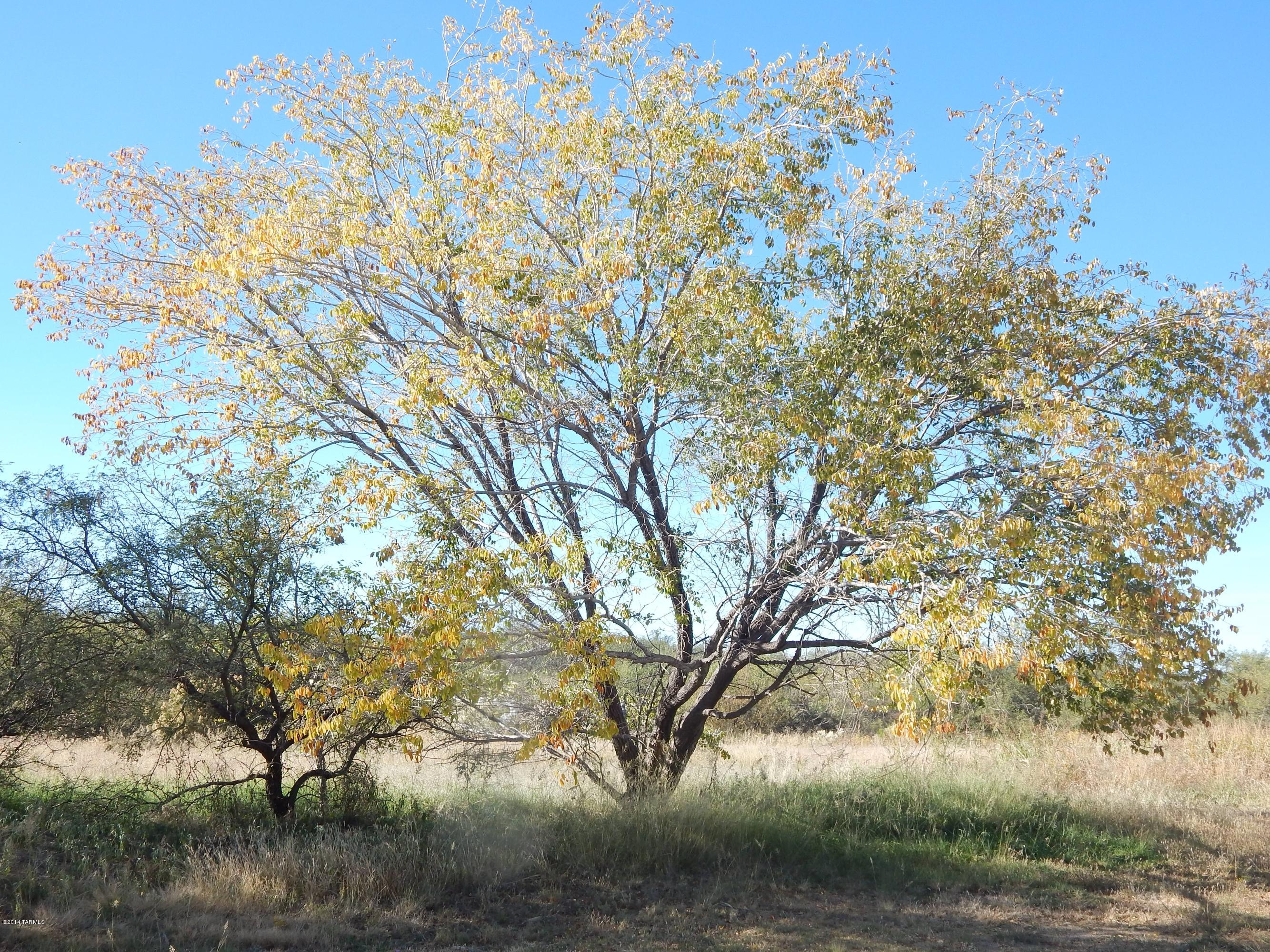 Build your business on this beautiful level lot and put your home on the .27 acre lot behind it. This commercial lot is combined with parcel 308-05-022 which is GR Zoned. Both lots together are listed at $29,000. Property taxes are on both lots.