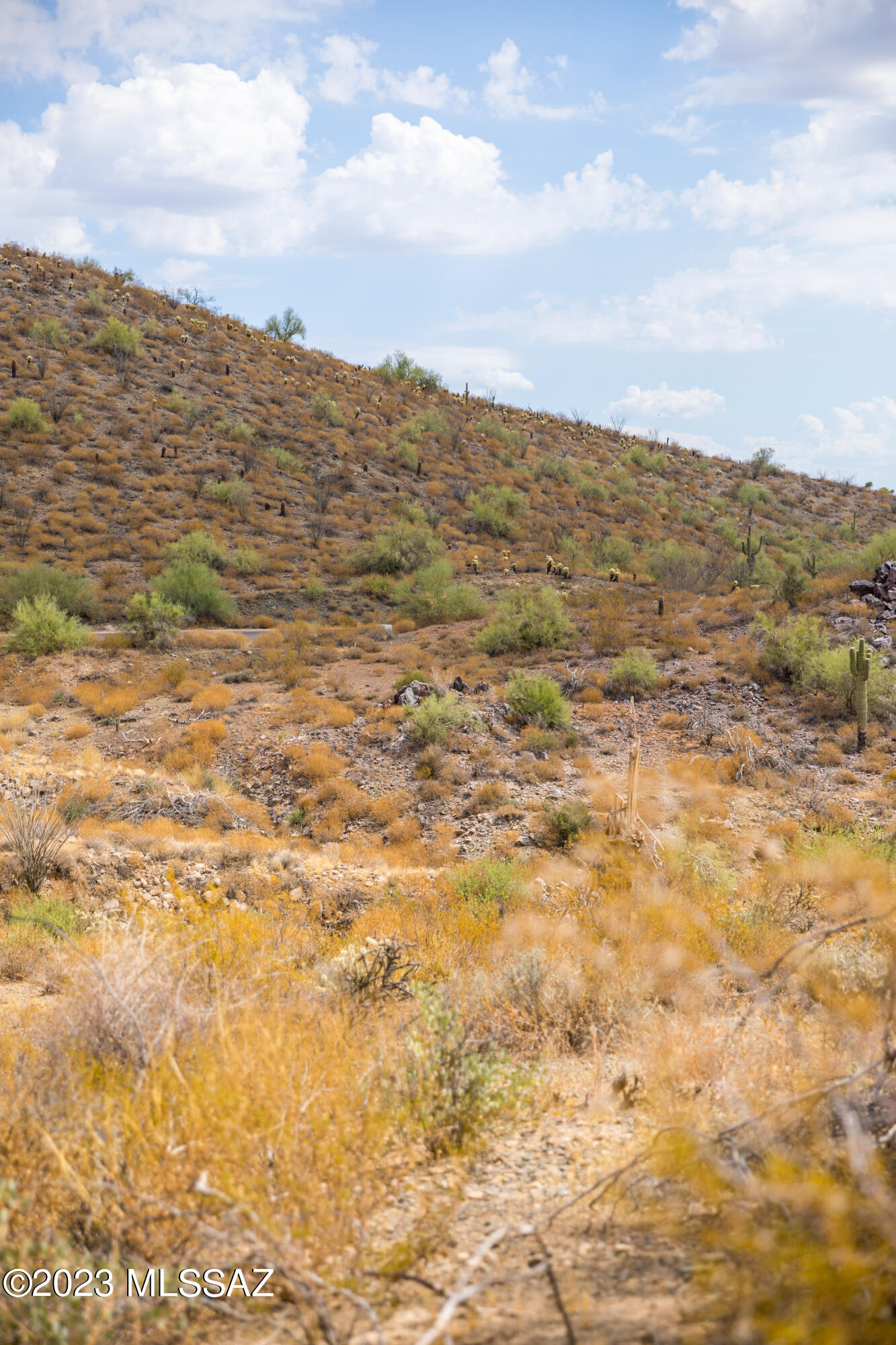 Out Of Pima County - Land