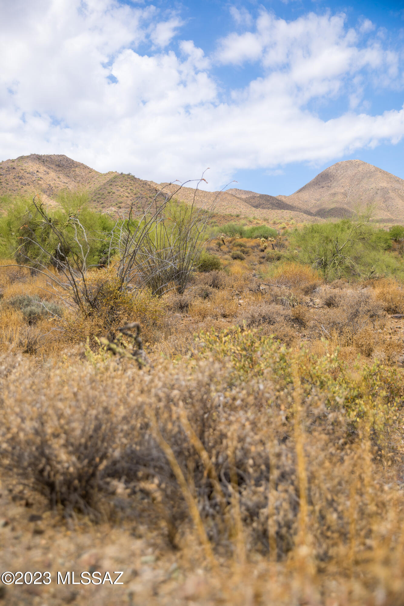 Out Of Pima County - Land