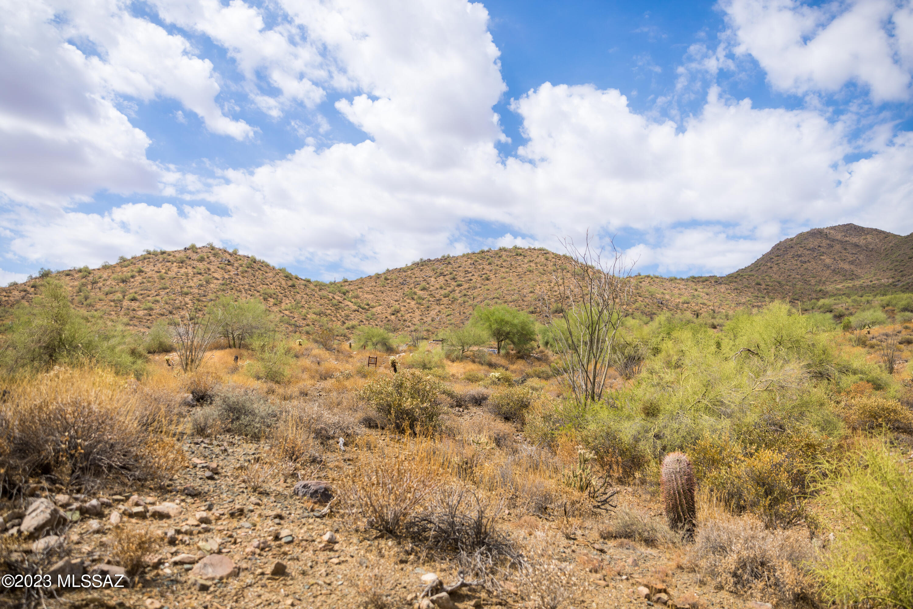 Out Of Pima County - Land