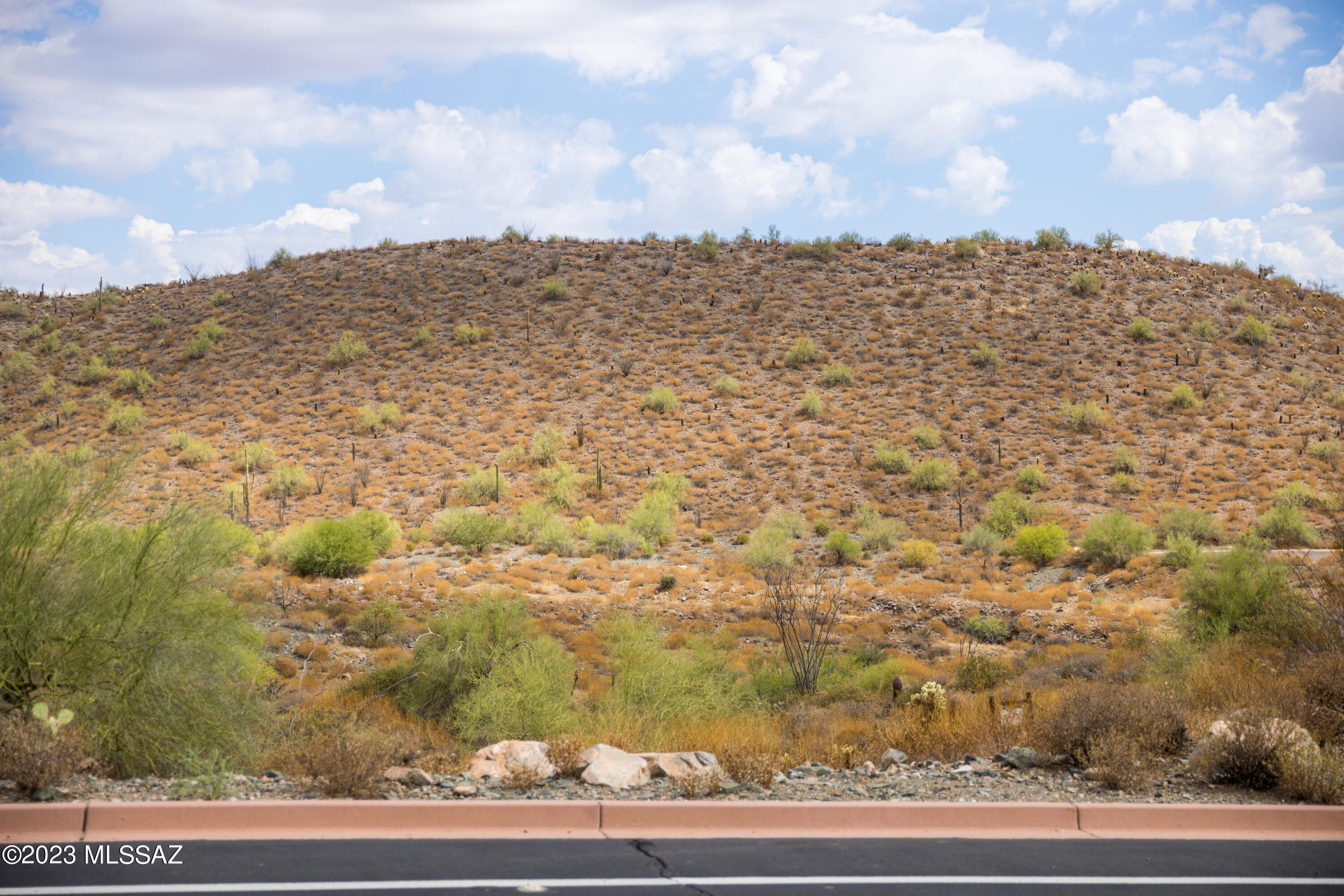 Out Of Pima County - Land