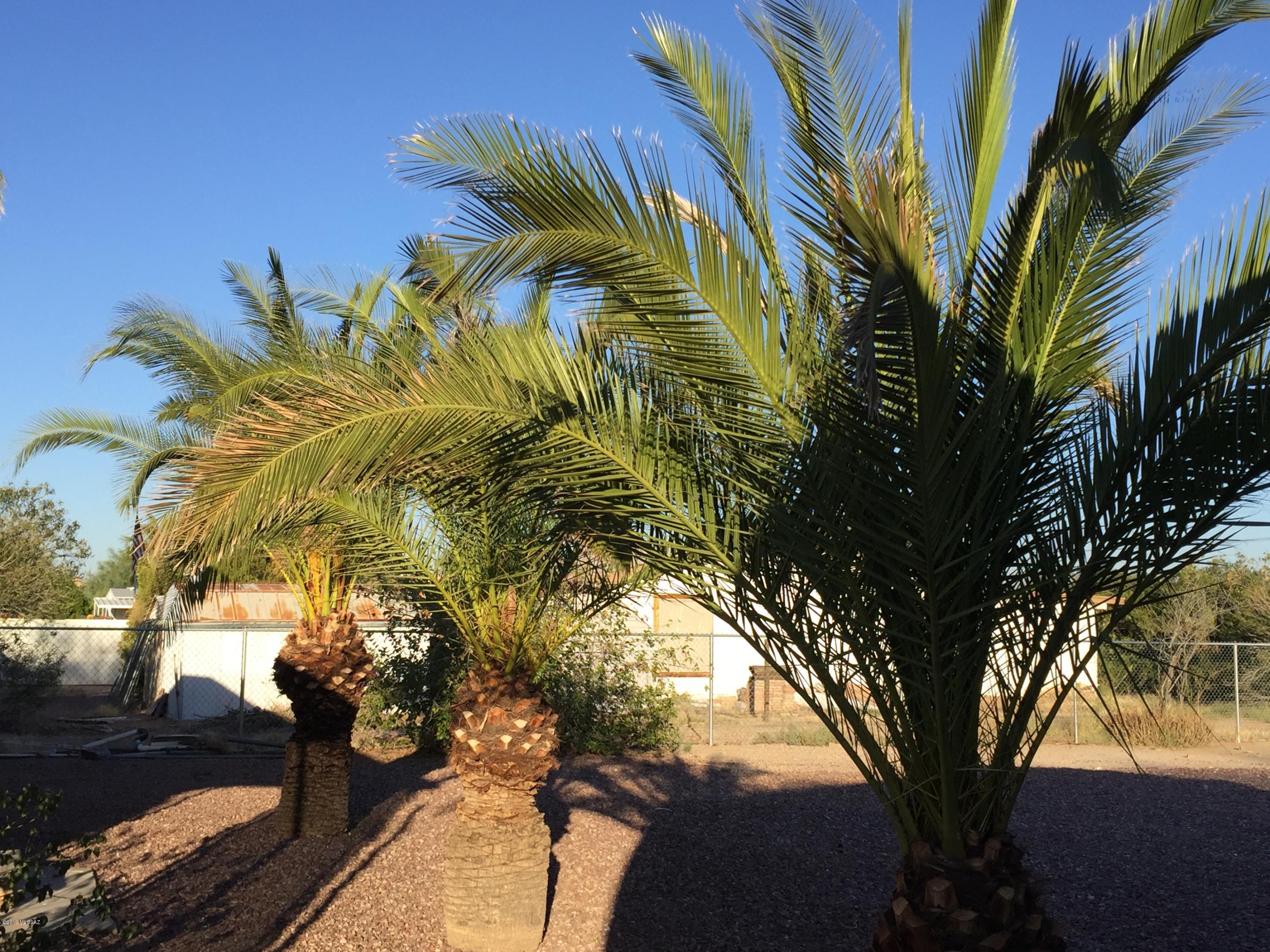 Orange Grove Mobile Estates (1) - Residential
