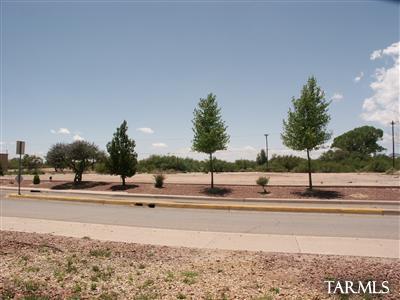 Good east side location off the main street in Benson. Business zoning (B-2), a feed store, storage units, restaurant, parts store, and garage are located in the area.