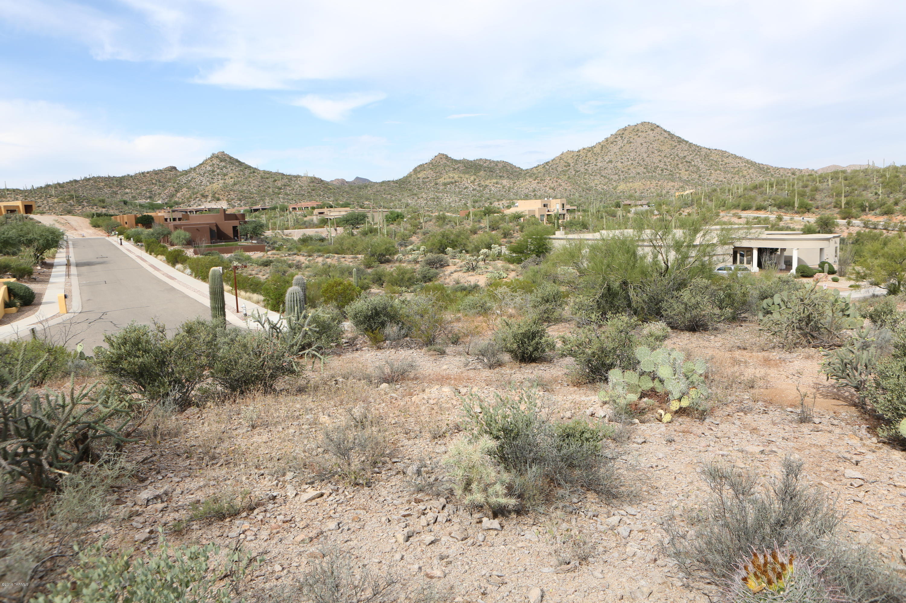 Wildcat Pass (1-61) - Land