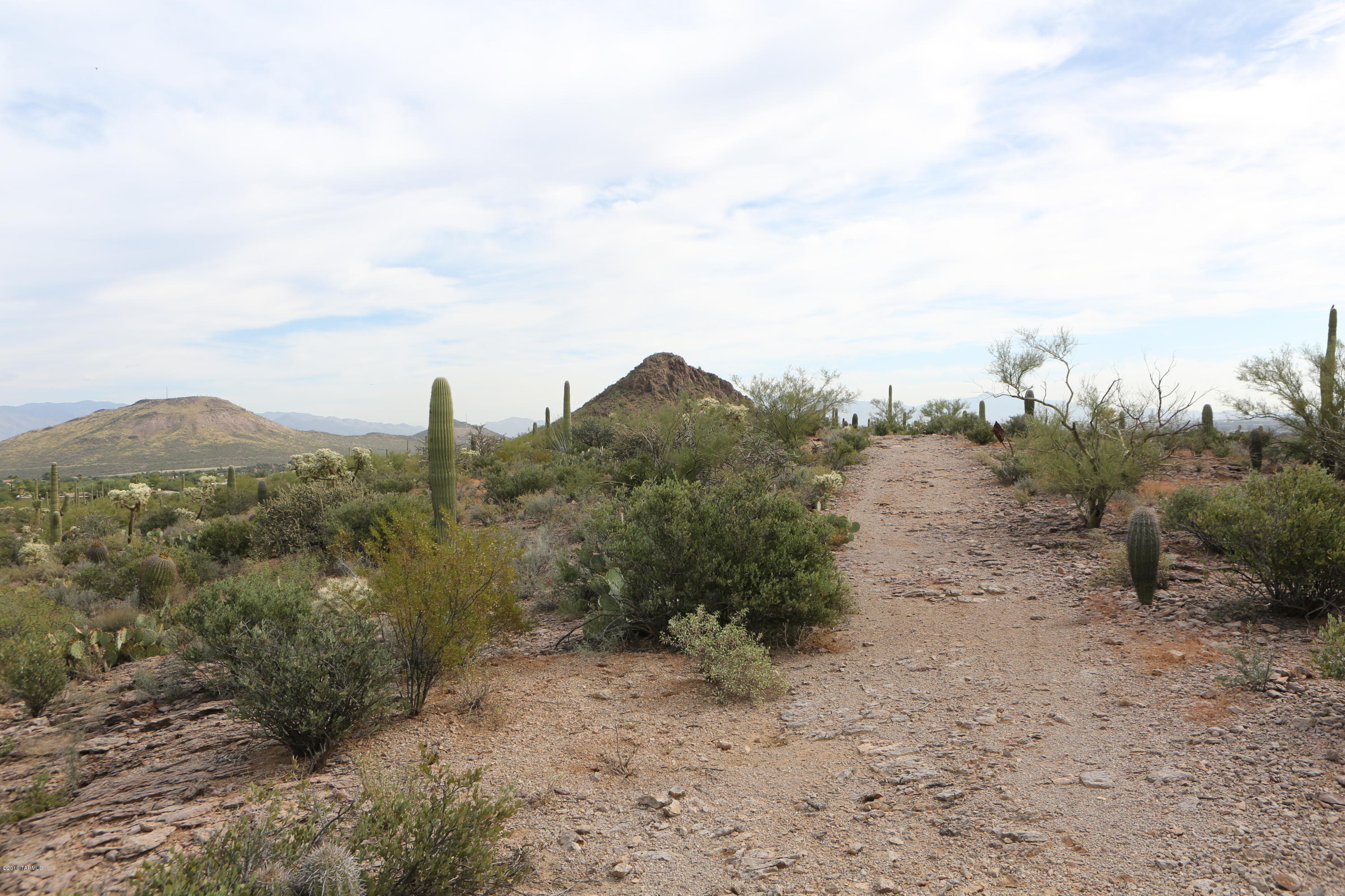 Wildcat Pass (1-61) - Land