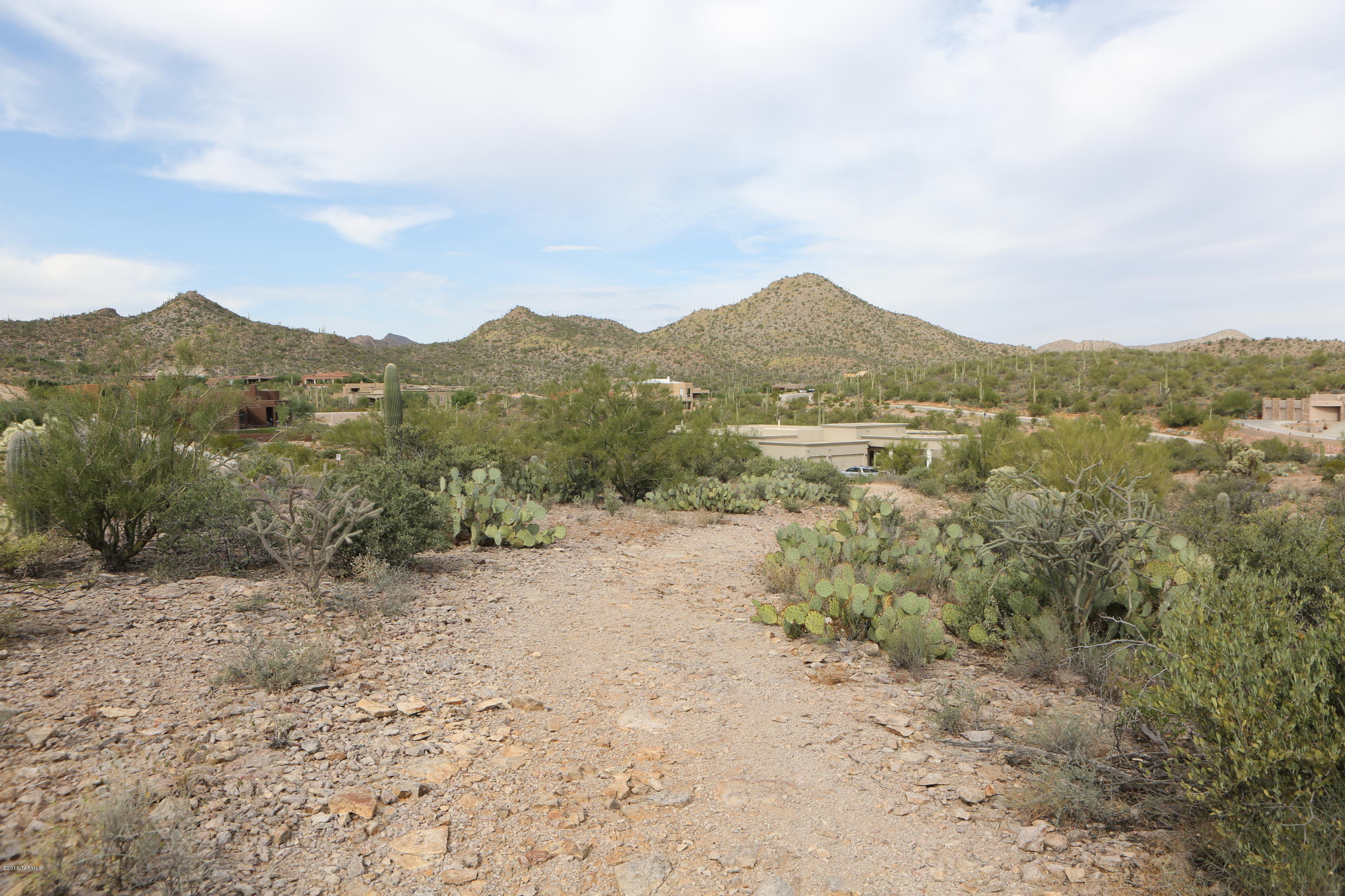 Wildcat Pass (1-61) - Land