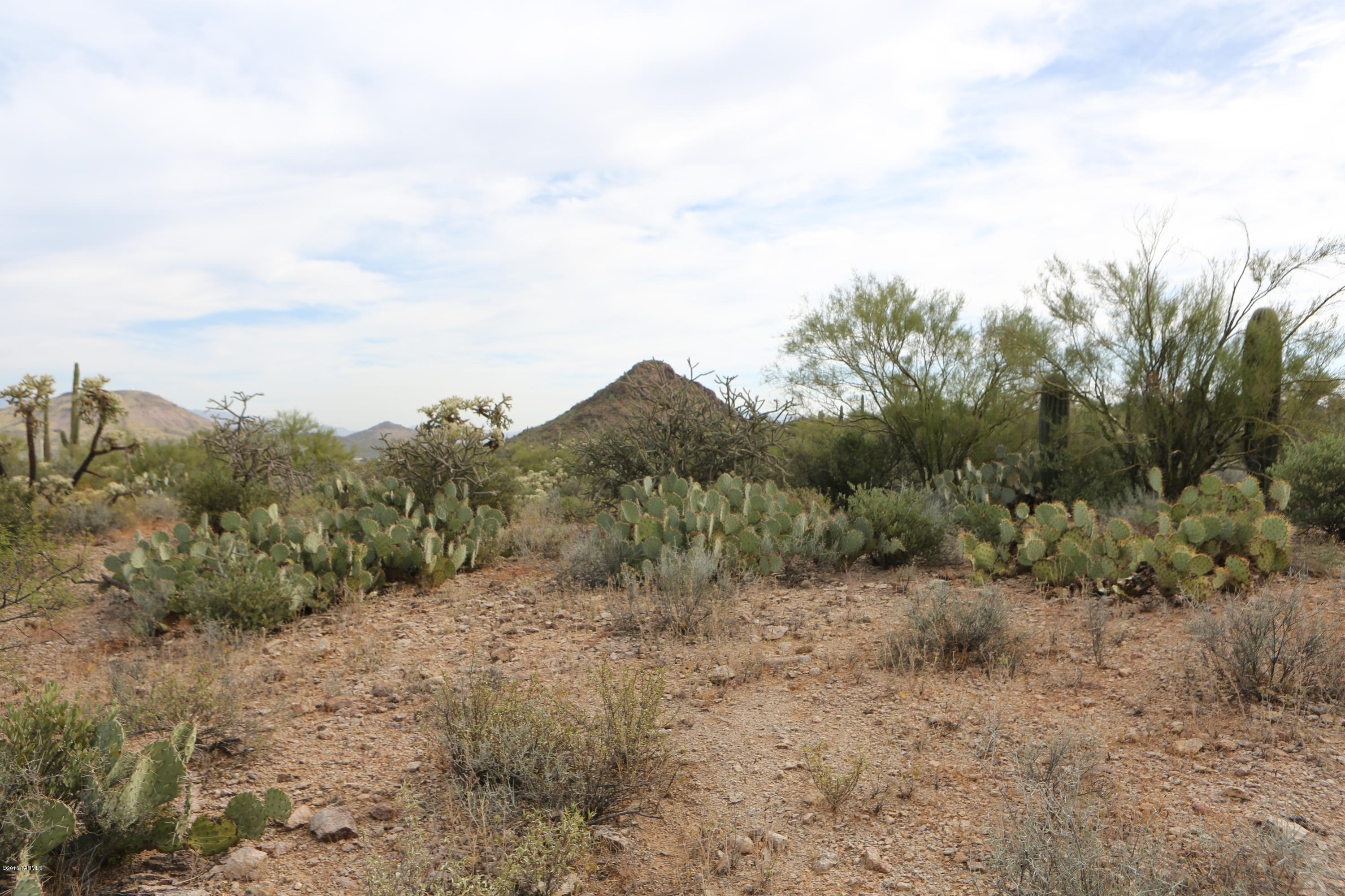 Wildcat Pass (1-61) - Land