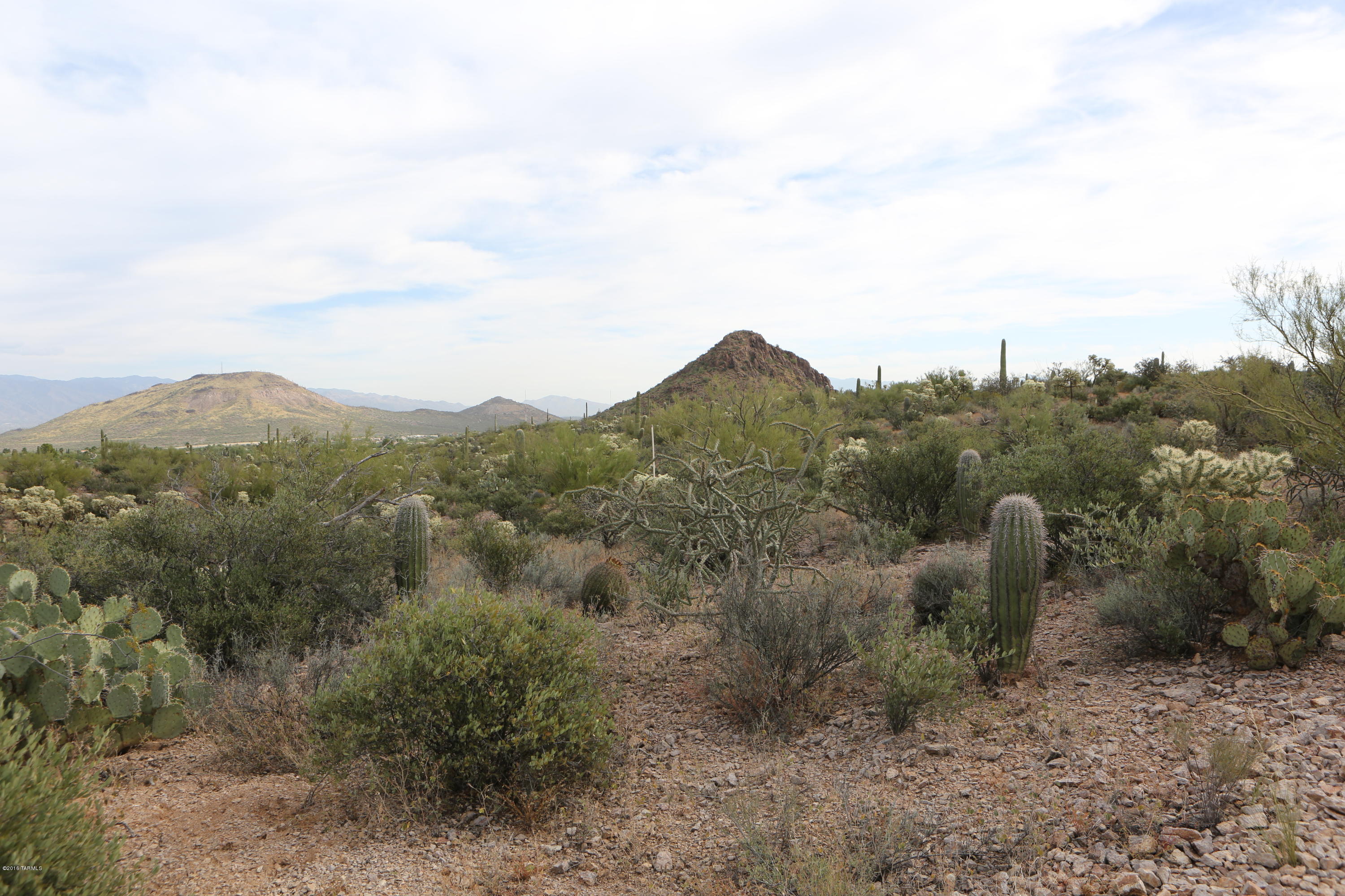 Wildcat Pass (1-61) - Land