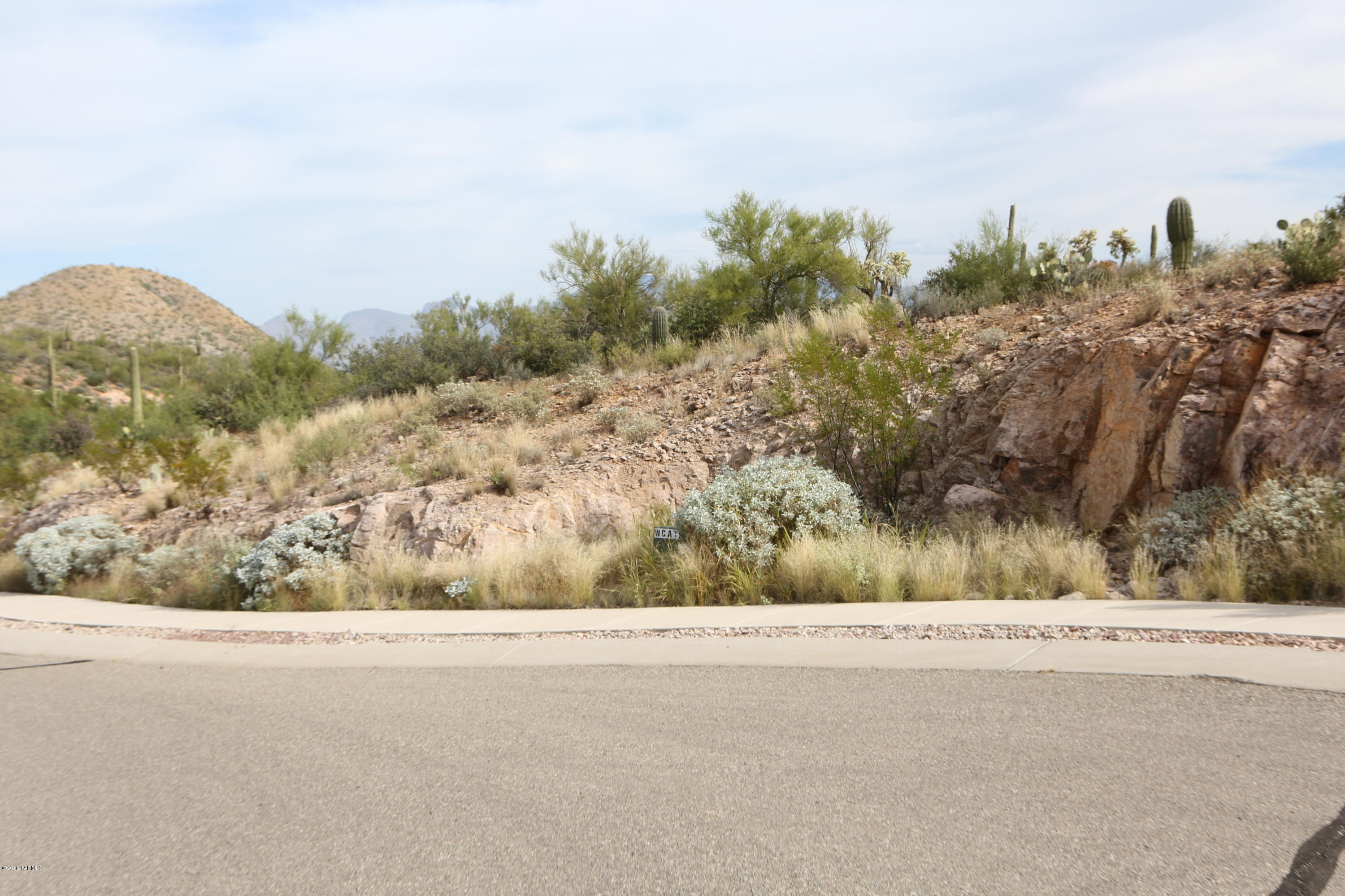 Wildcat Pass (1-61) - Land