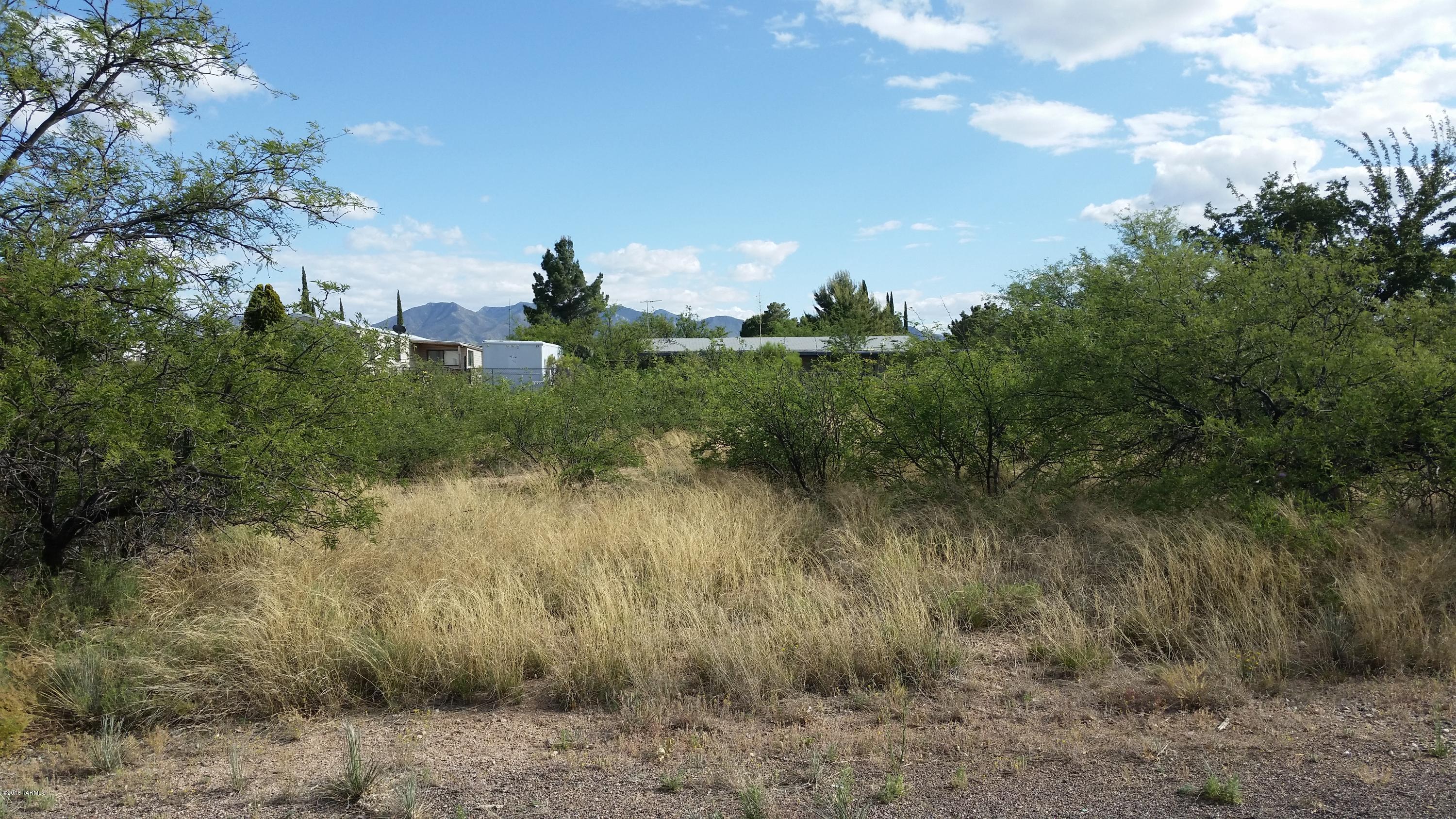 Great property with lots of vegetation.Easy access on paved road. All utilities available at lot line.