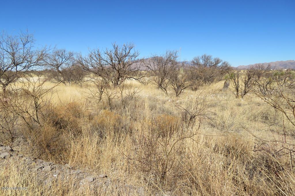 Mescal Lakes - Land