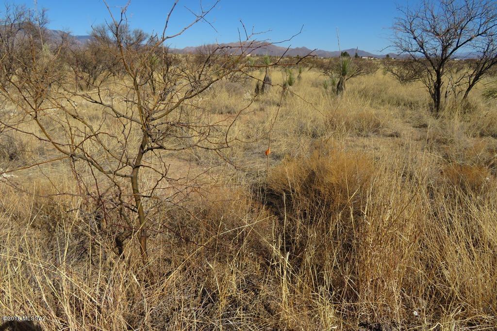 Mescal Lakes - Land