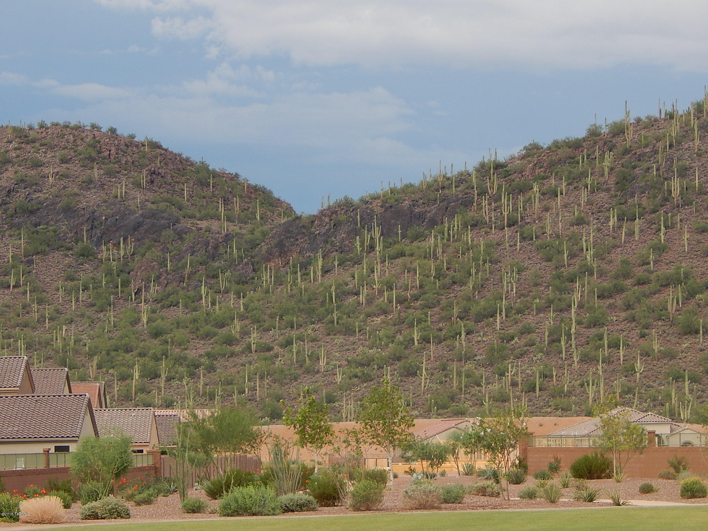 Saguaro Springs Block 8B (131-399) - Residential