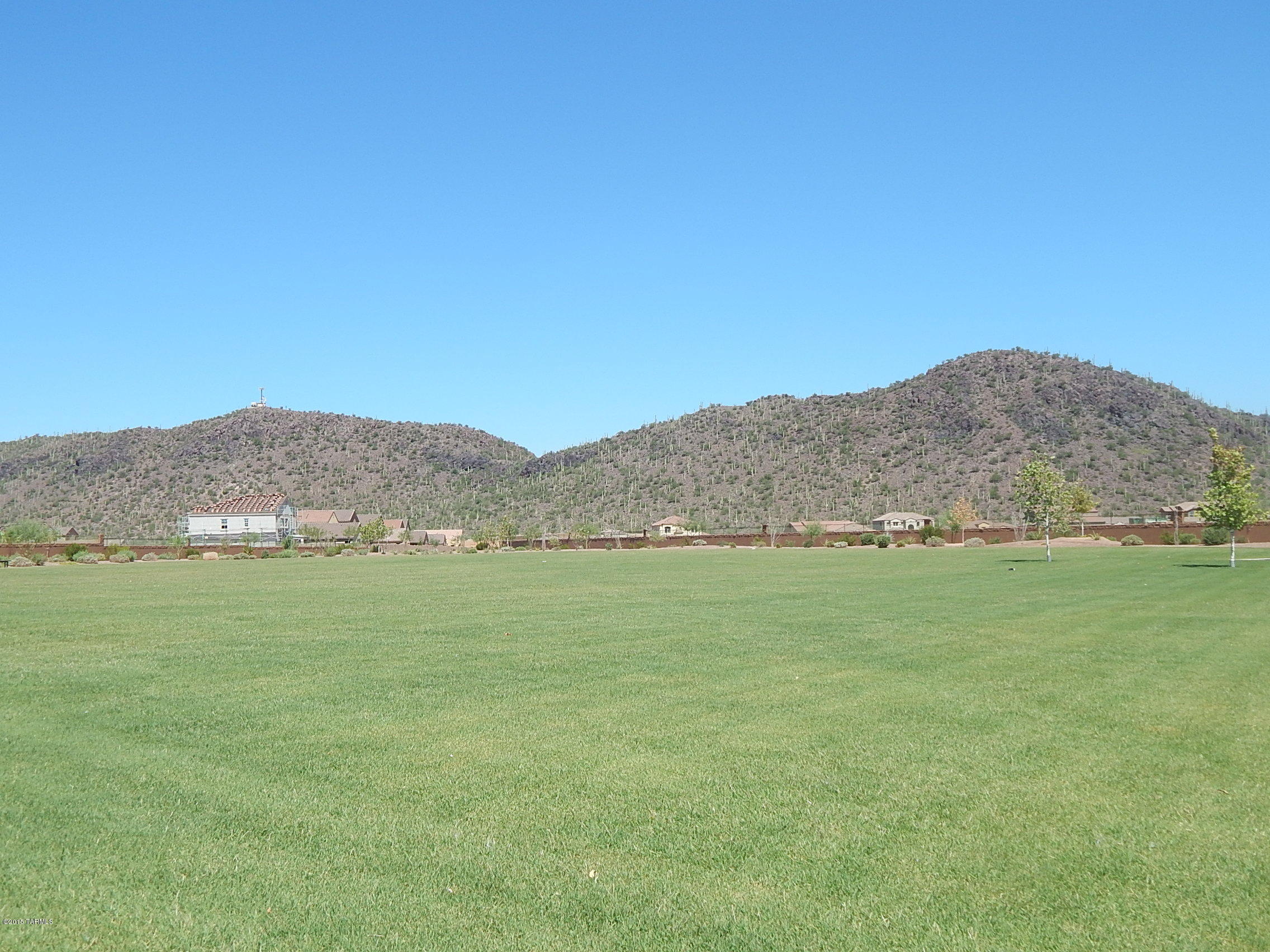 Saguaro Springs Block 8B (131-399) - Residential