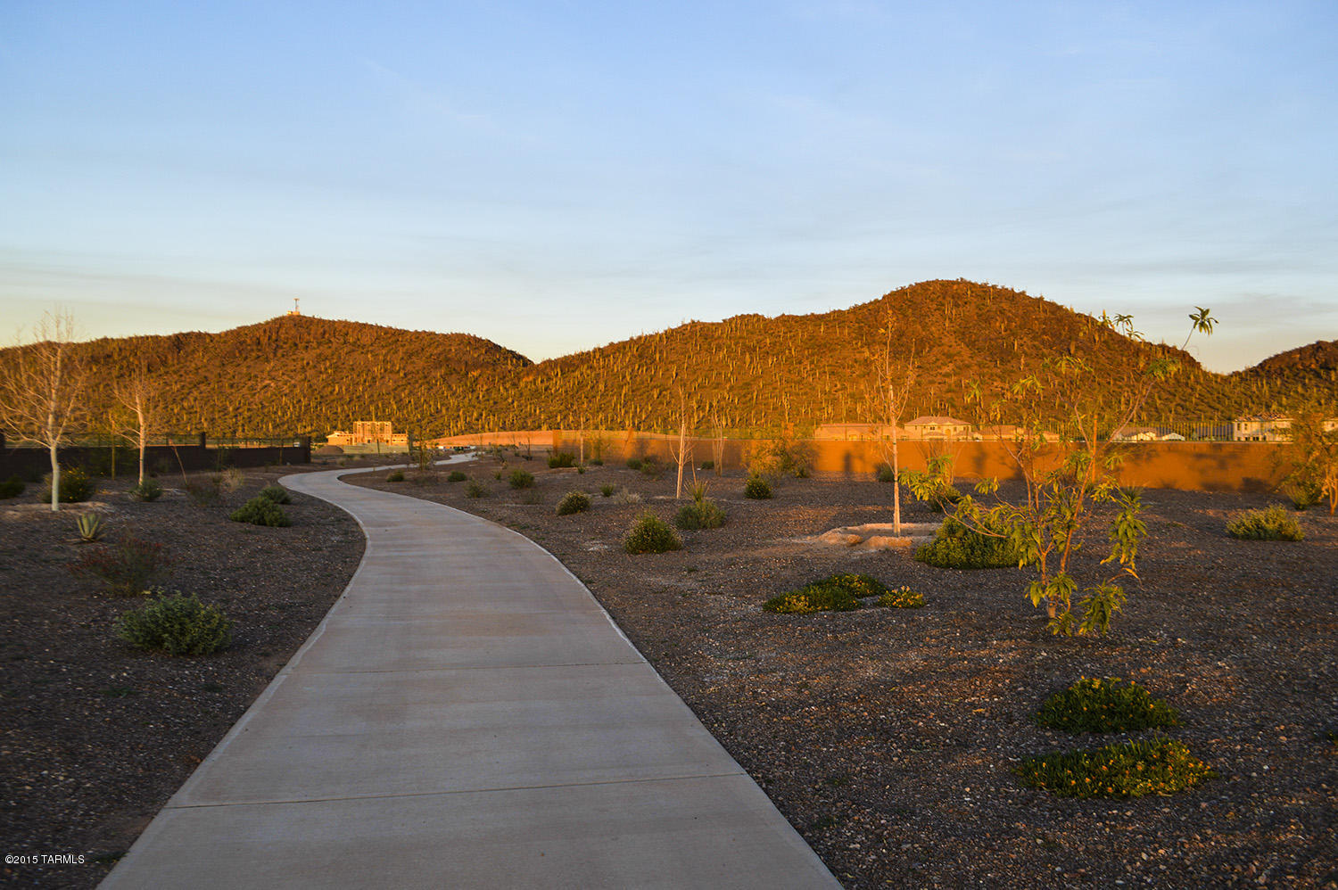 Saguaro Springs Block 8B (131-399) - Residential