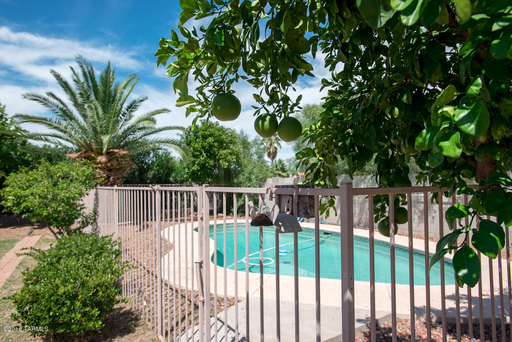 Elliott Homes At Rita Ranch (1-521) - Residential