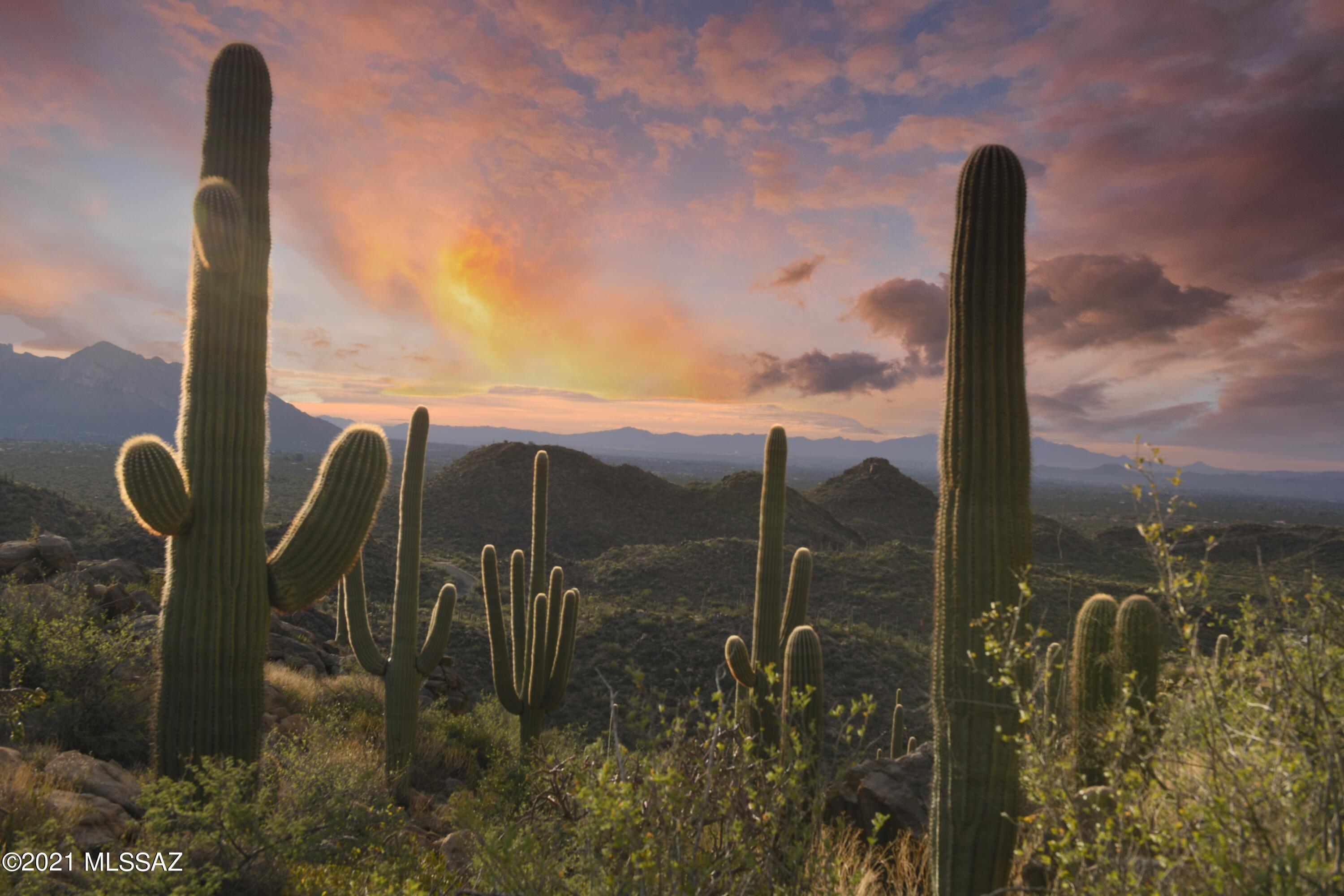 This four acre estate property in exclusive Saguaro Ranch is nestled in the heart the Sonoran Desert. Enter this spectacular community through a 600 ft. tunnel that opens up to mountain vistas and the beauty of 17,000 stately Saguaros. 
 The landscape, wildlife and sweeping views are all protected in this 1100 acre development as 80% of the land will remain undisturbed.  
 The Saguaro Ranch Owner's Club option includes workout facilities, a 25-yard lap pool, swim-up bar, spa and pickleball courts that are surrounded by the nearby mountains and overlook romantic Tucson city lights. 
 Miramonte Homes building services are available to buyers.