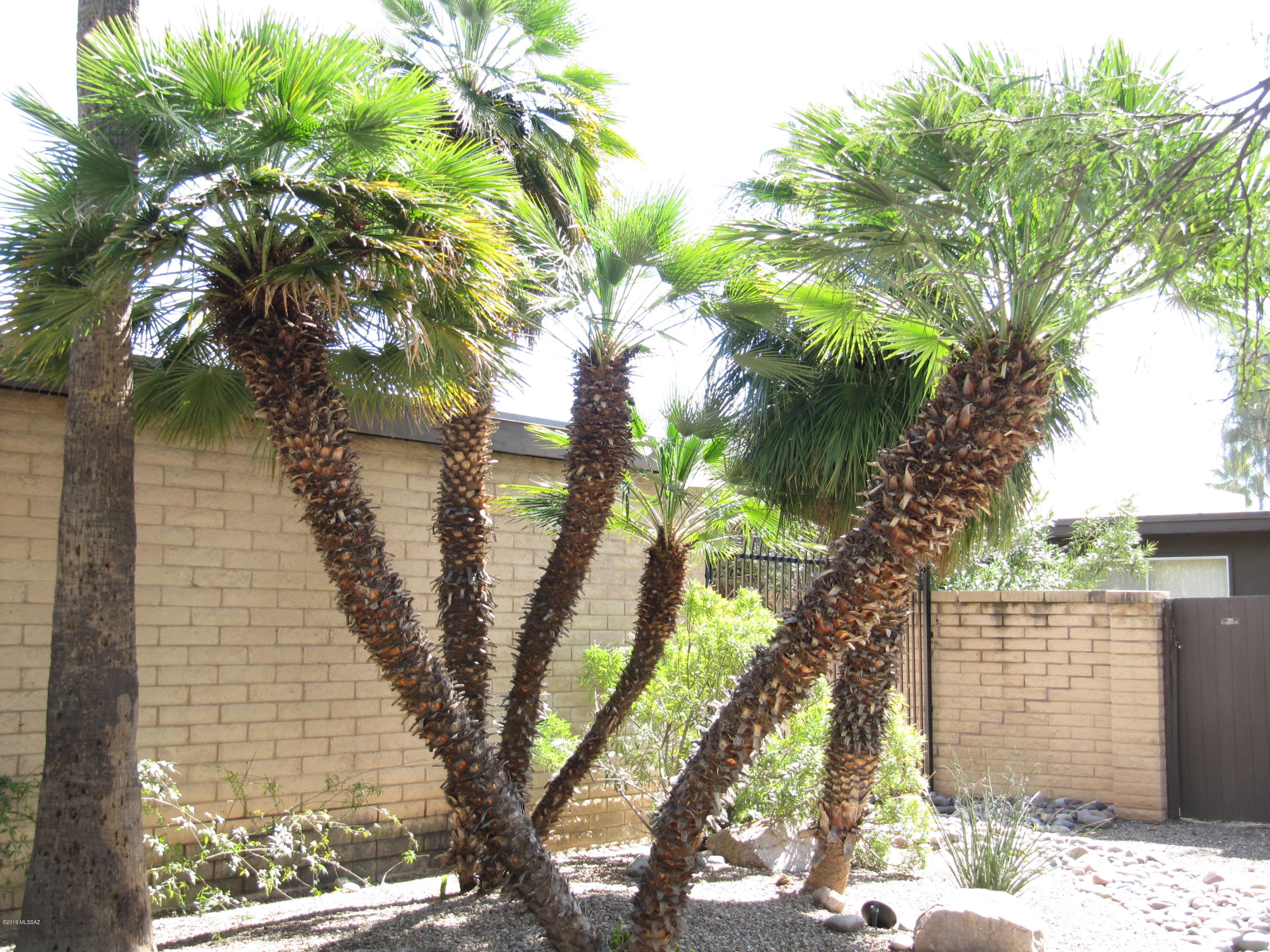 Verde Vista Villas (1-94) - Residential