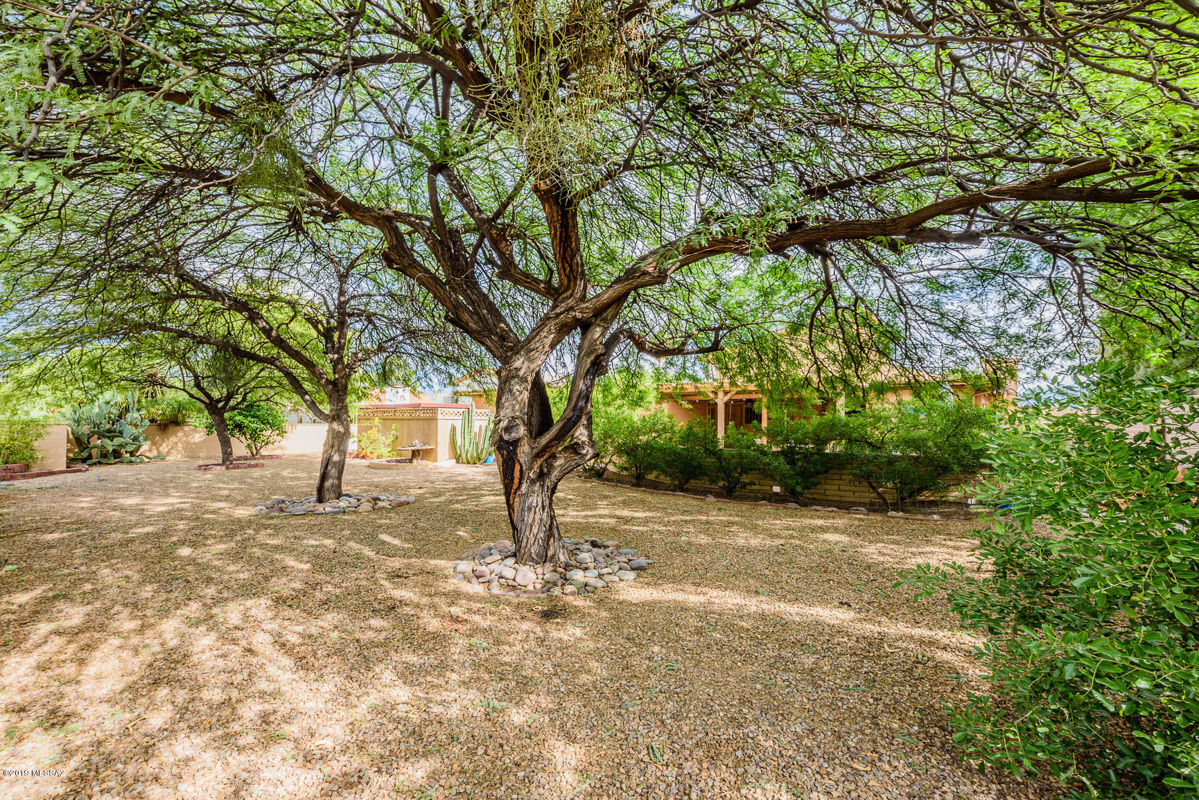 Desert Arbors (1-71) - Residential