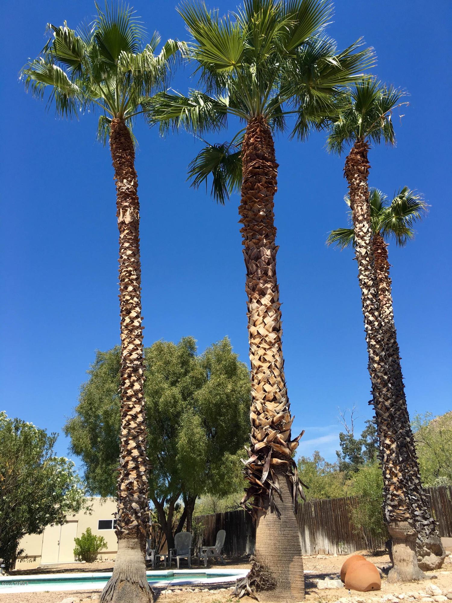 Rancho Catalina(107-221) - Residential