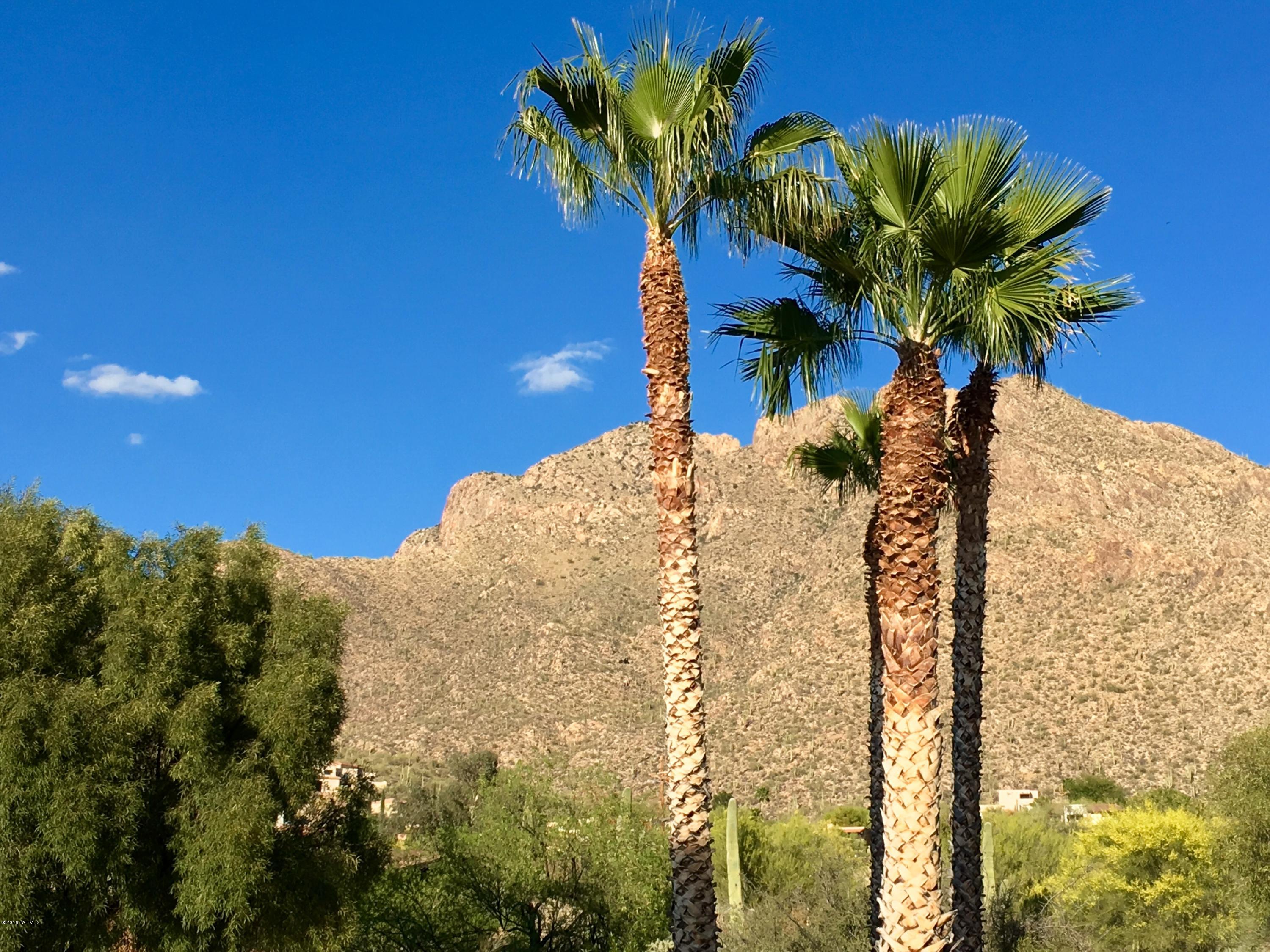 Rancho Catalina(107-221) - Residential