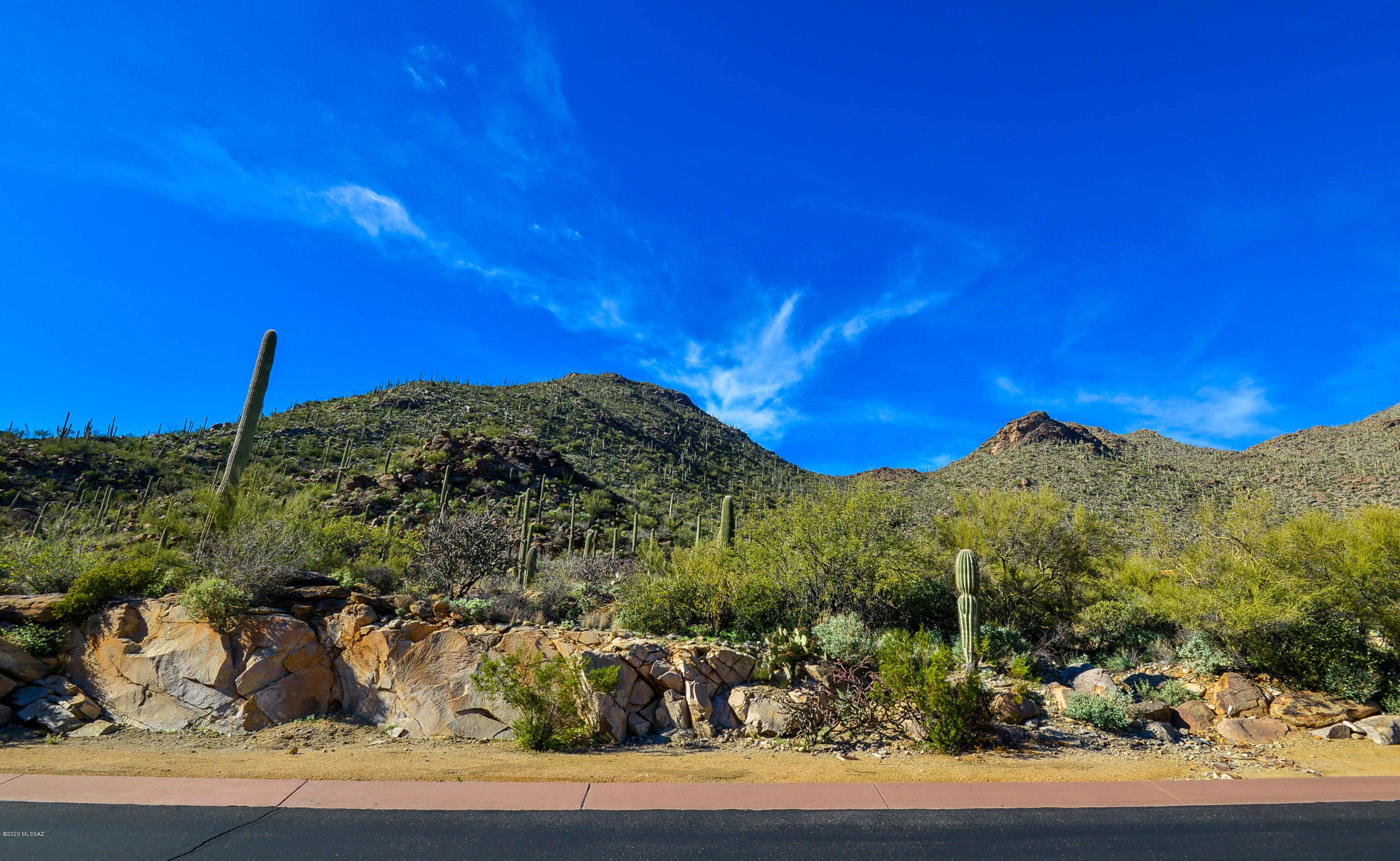 Canyon Pass At Dove Mountain - Land
