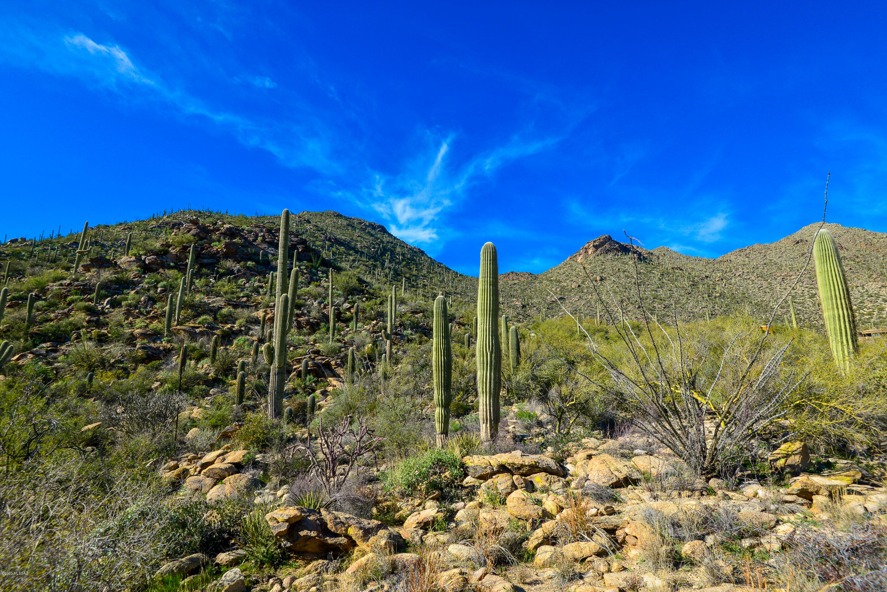 Canyon Pass At Dove Mountain - Land