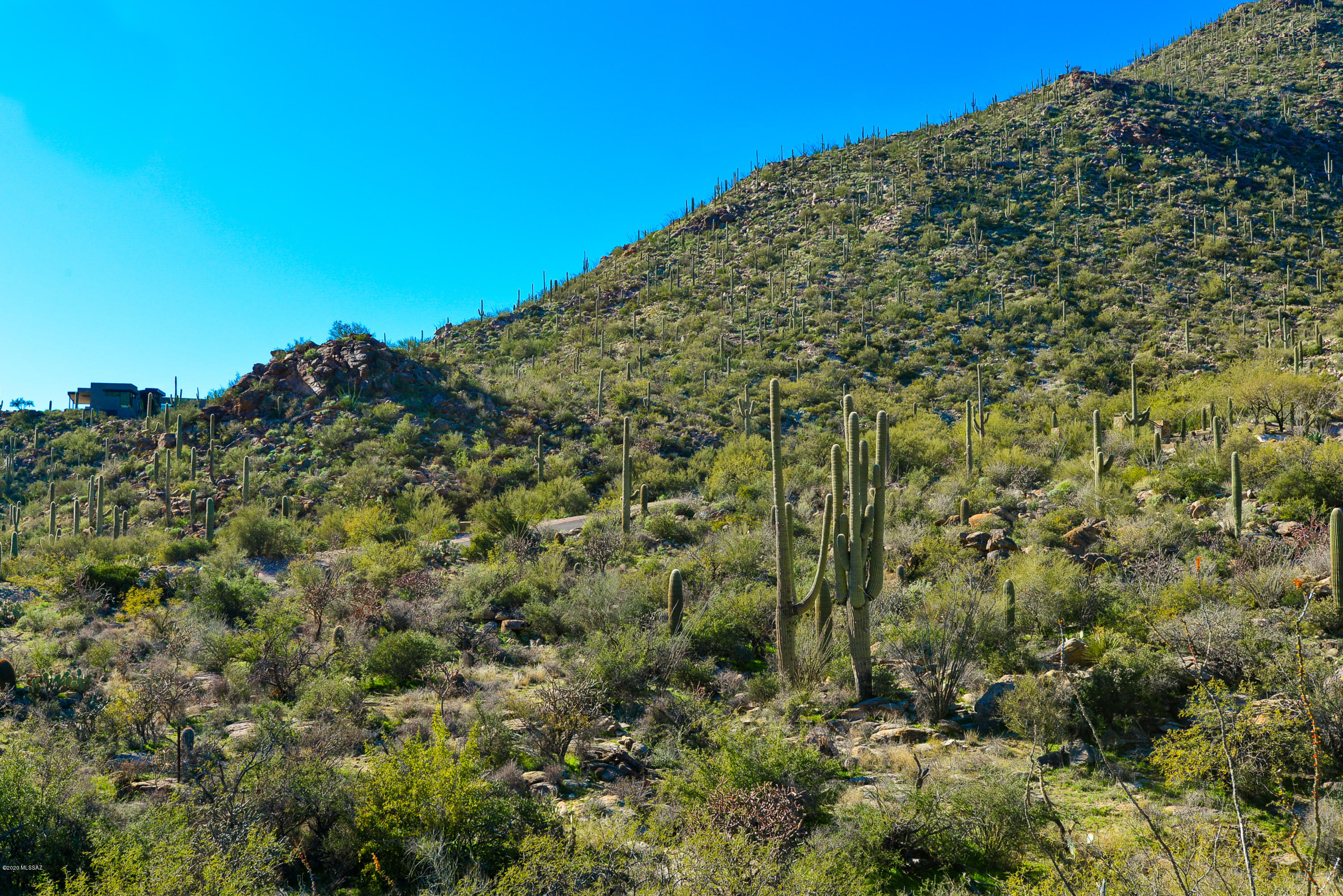 Canyon Pass At Dove Mountain - Land
