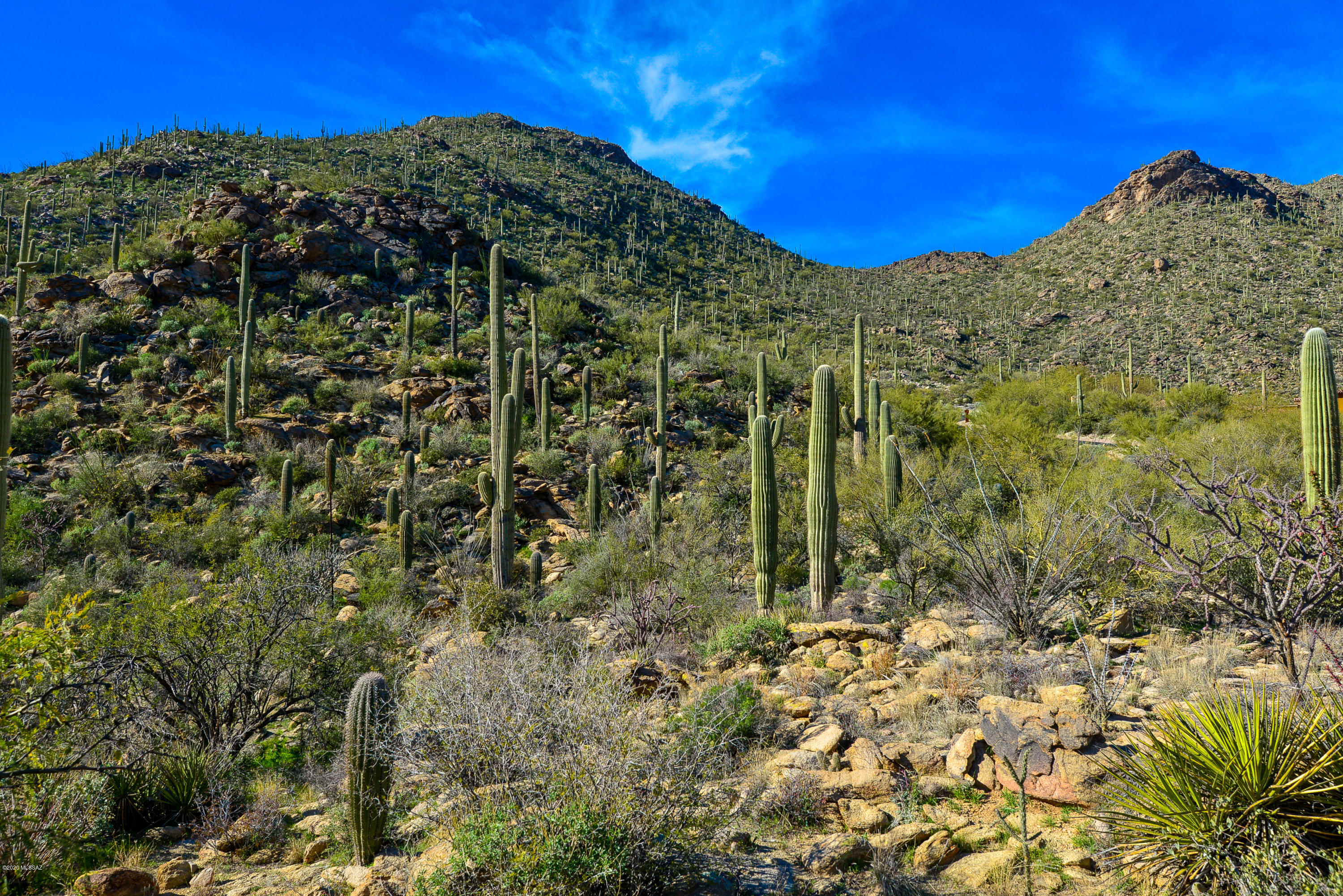 Canyon Pass At Dove Mountain - Land