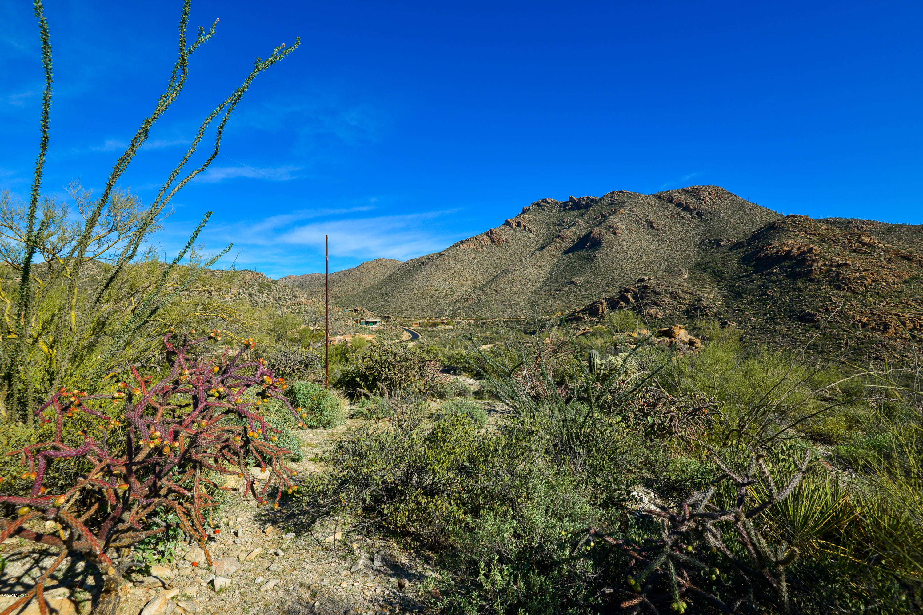 Canyon Pass At Dove Mountain - Land