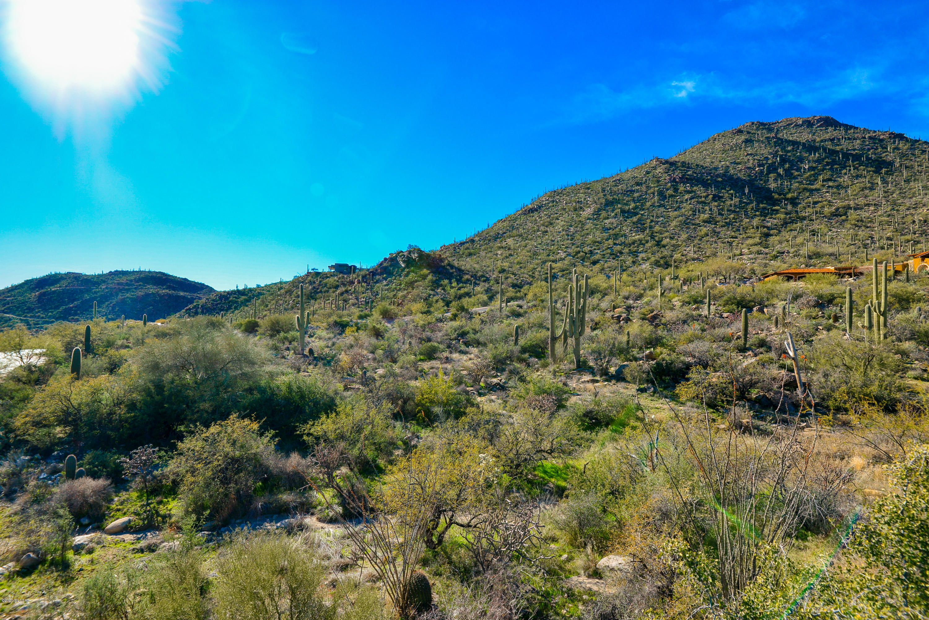 Canyon Pass At Dove Mountain - Land