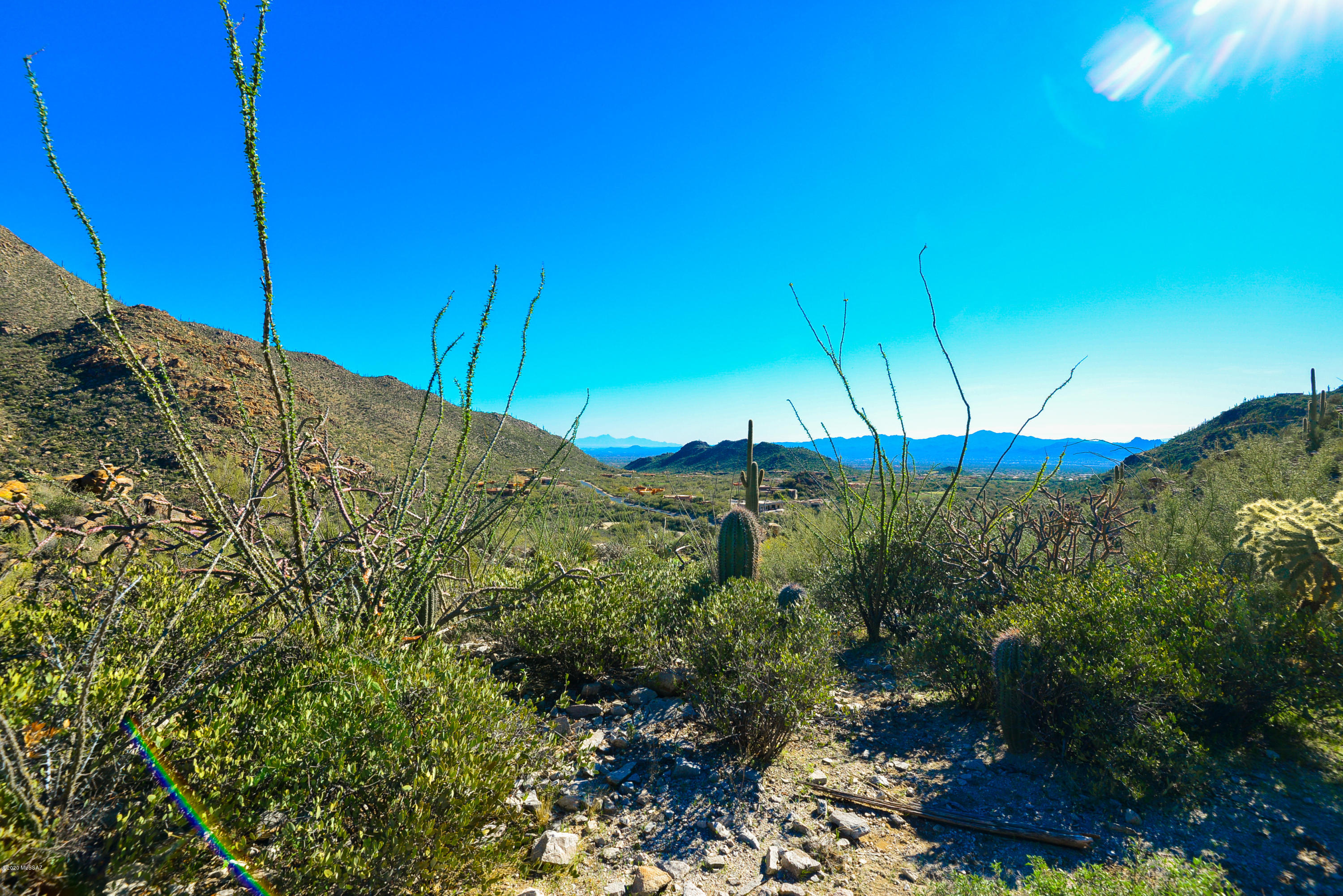 Canyon Pass At Dove Mountain - Land