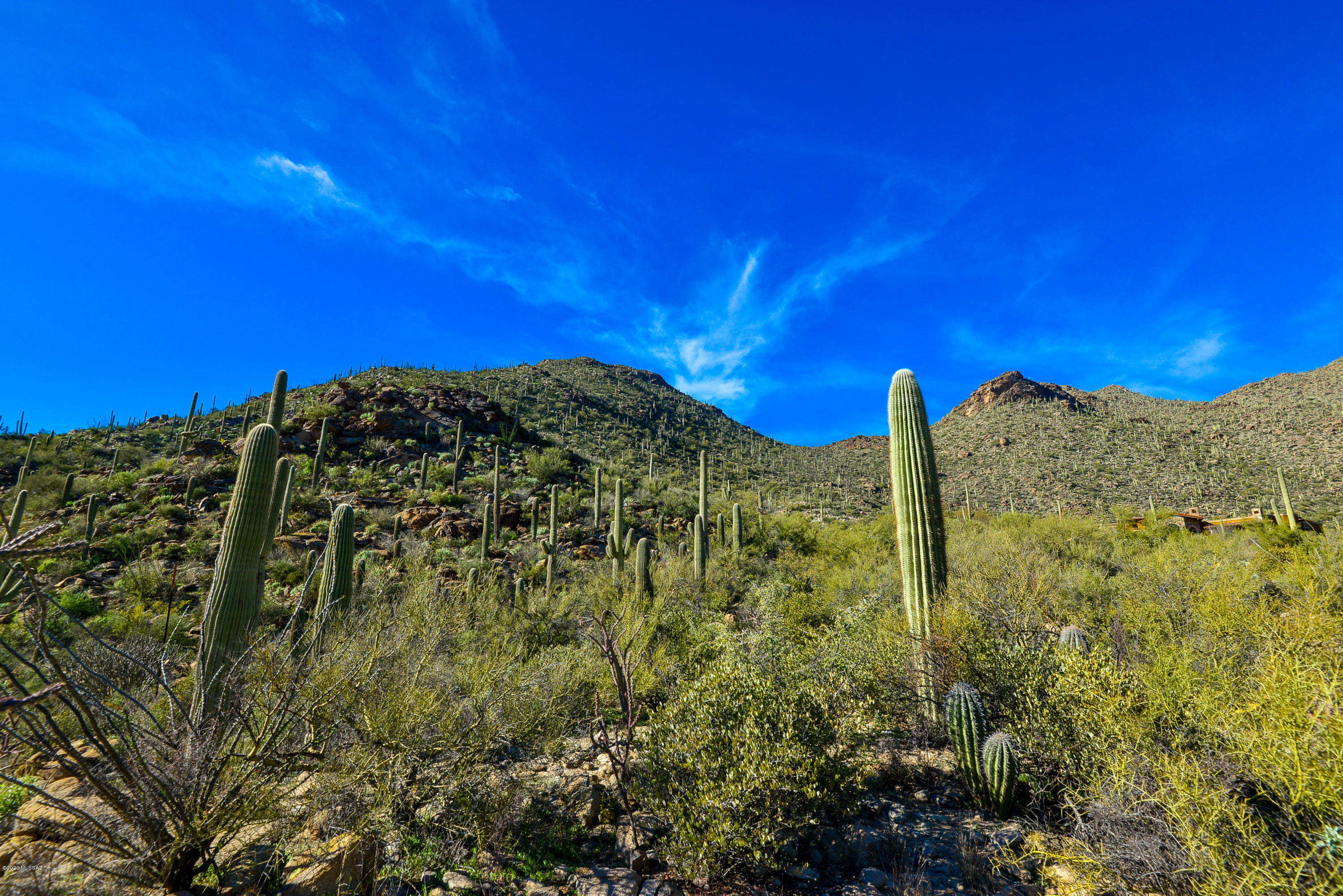 Canyon Pass At Dove Mountain - Land