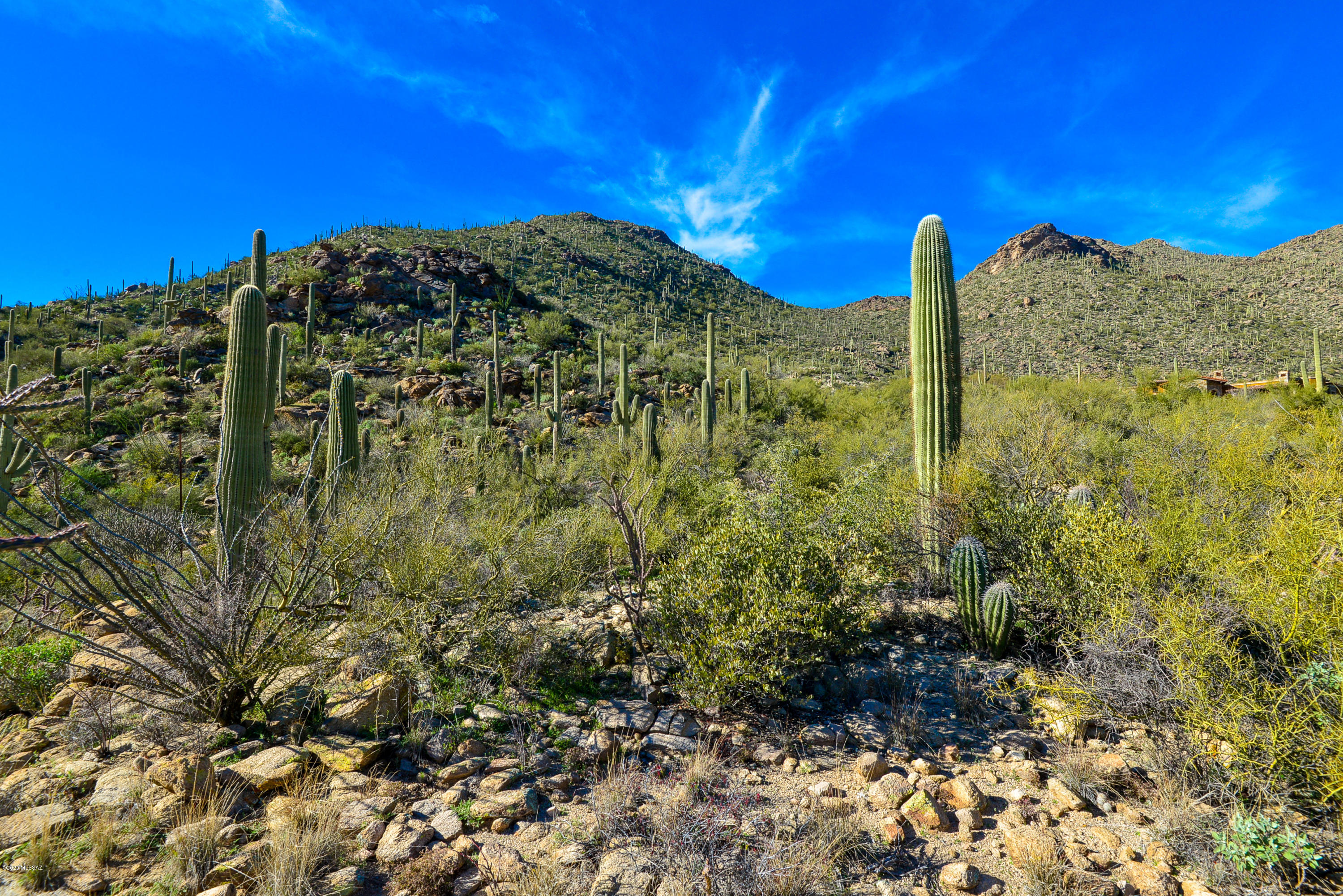 Canyon Pass At Dove Mountain - Land