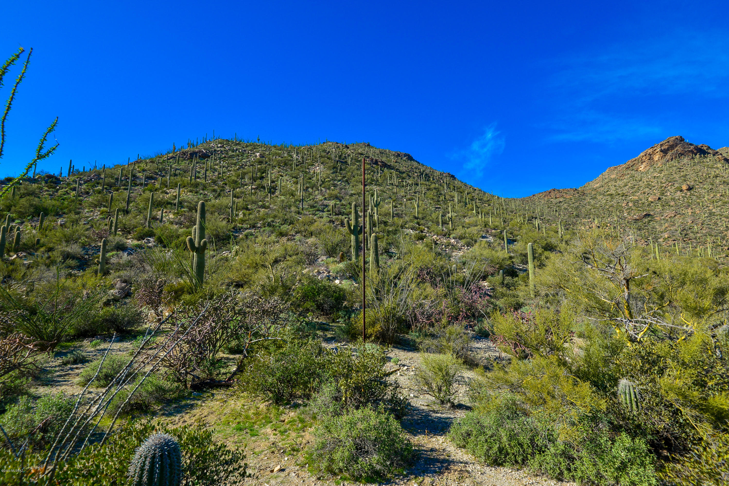 Canyon Pass At Dove Mountain - Land