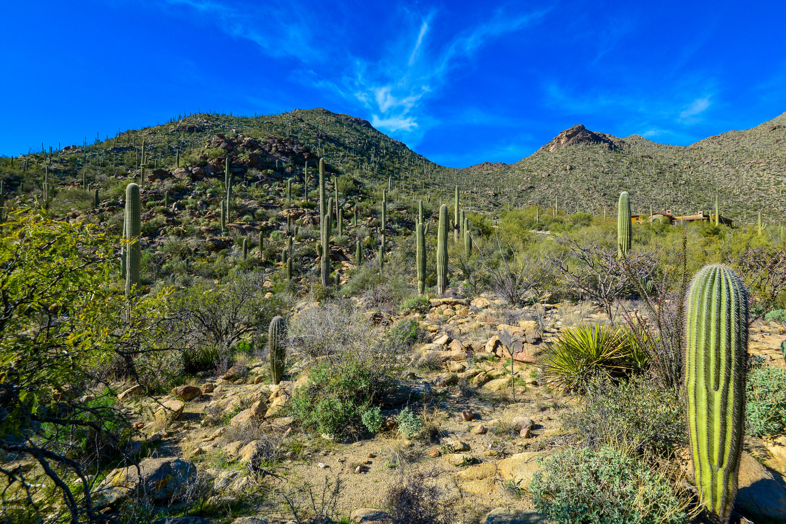 Canyon Pass At Dove Mountain - Land