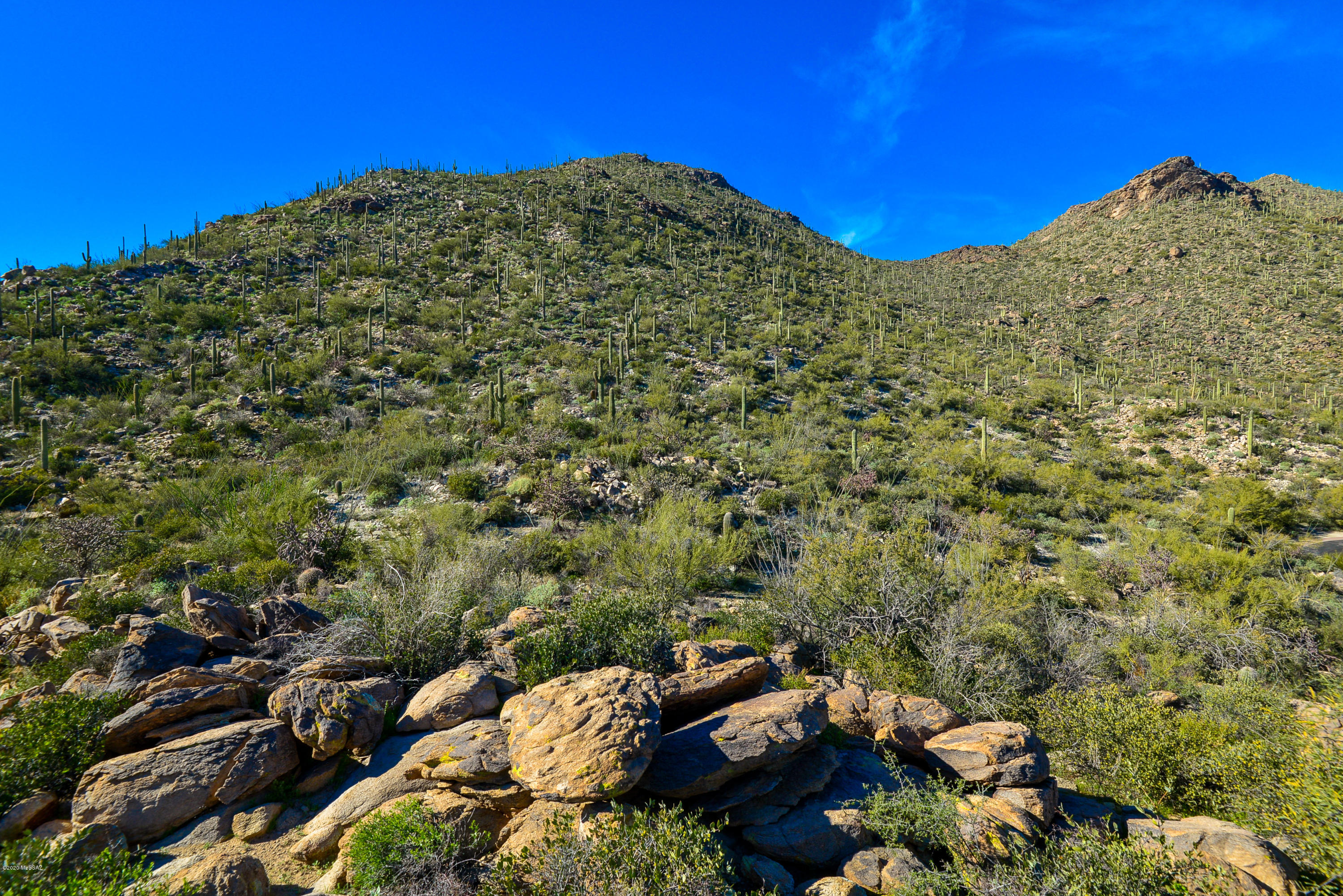 Canyon Pass At Dove Mountain - Land