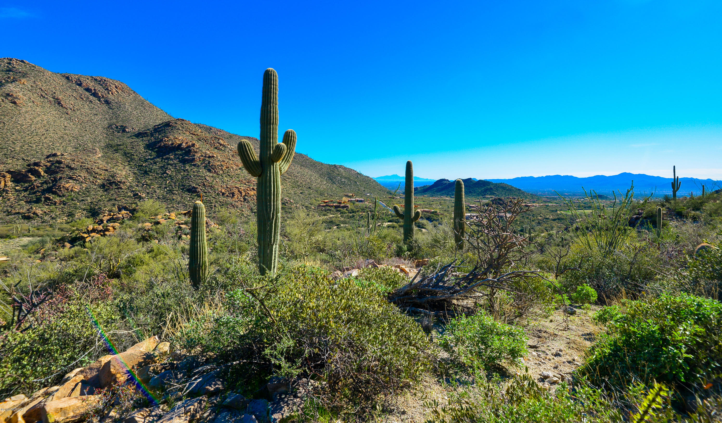 Canyon Pass At Dove Mountain - Land