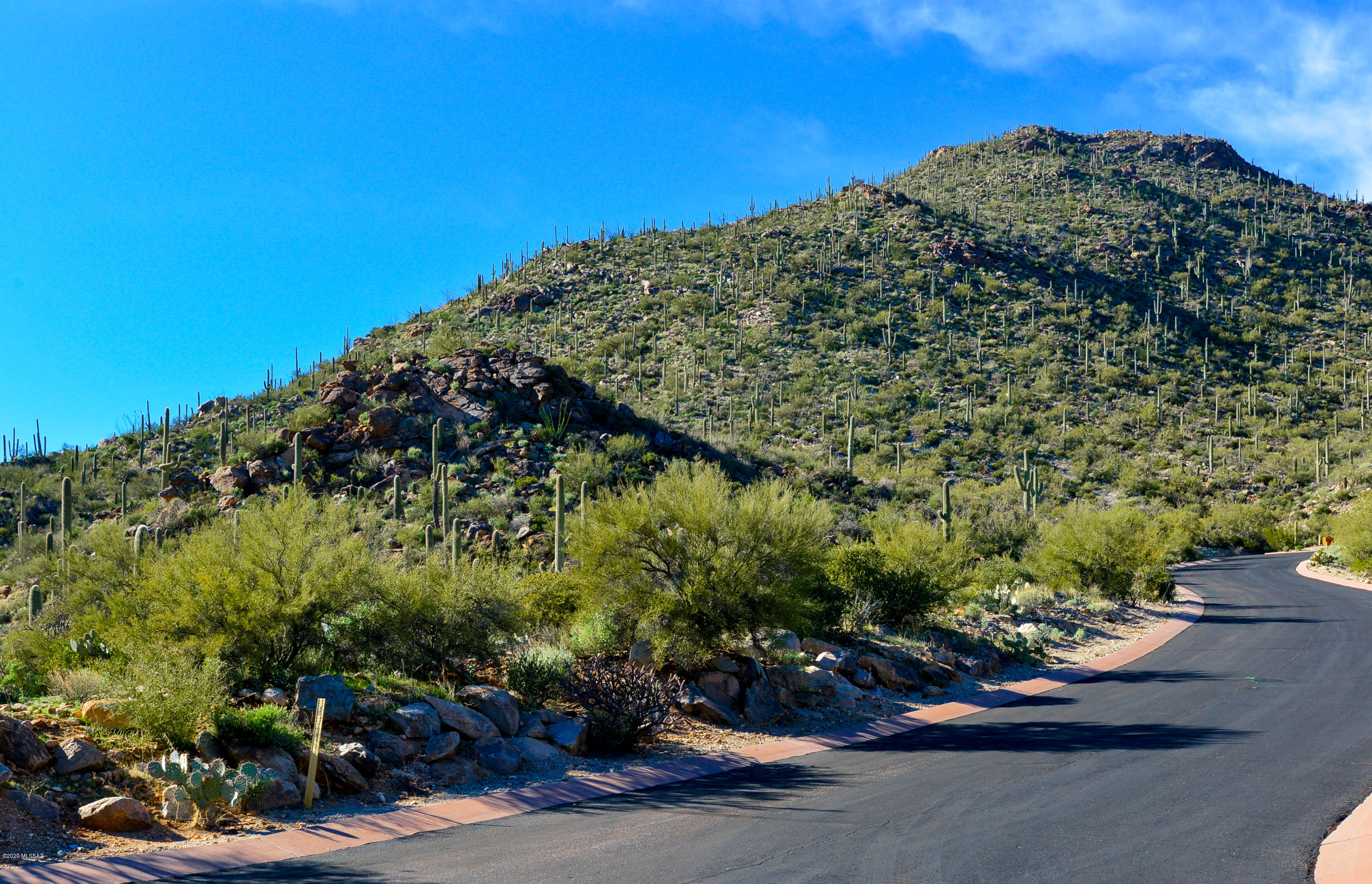 Canyon Pass At Dove Mountain - Land