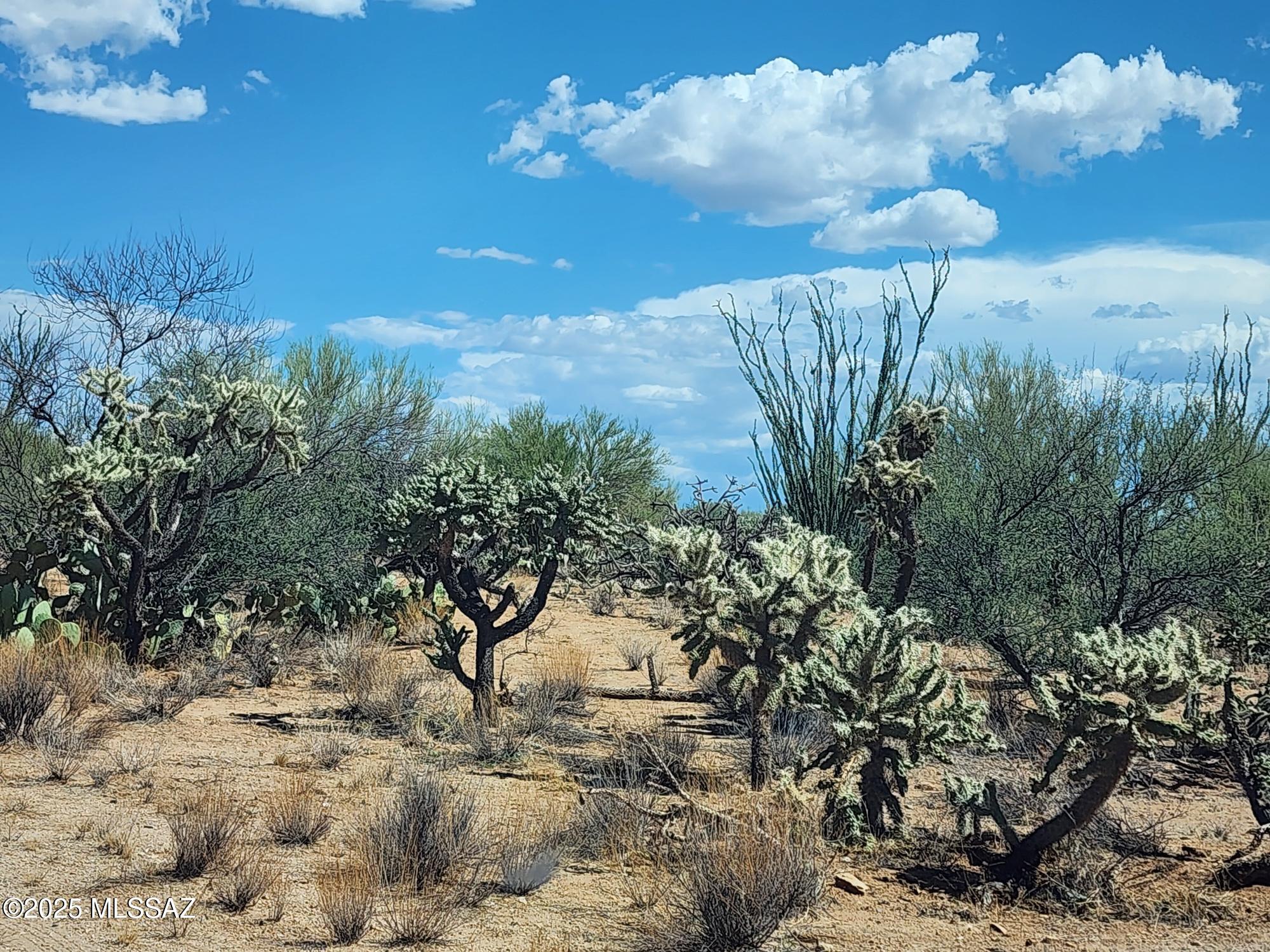 Diamond Bell Ranch - Tucson (1-229) - Land