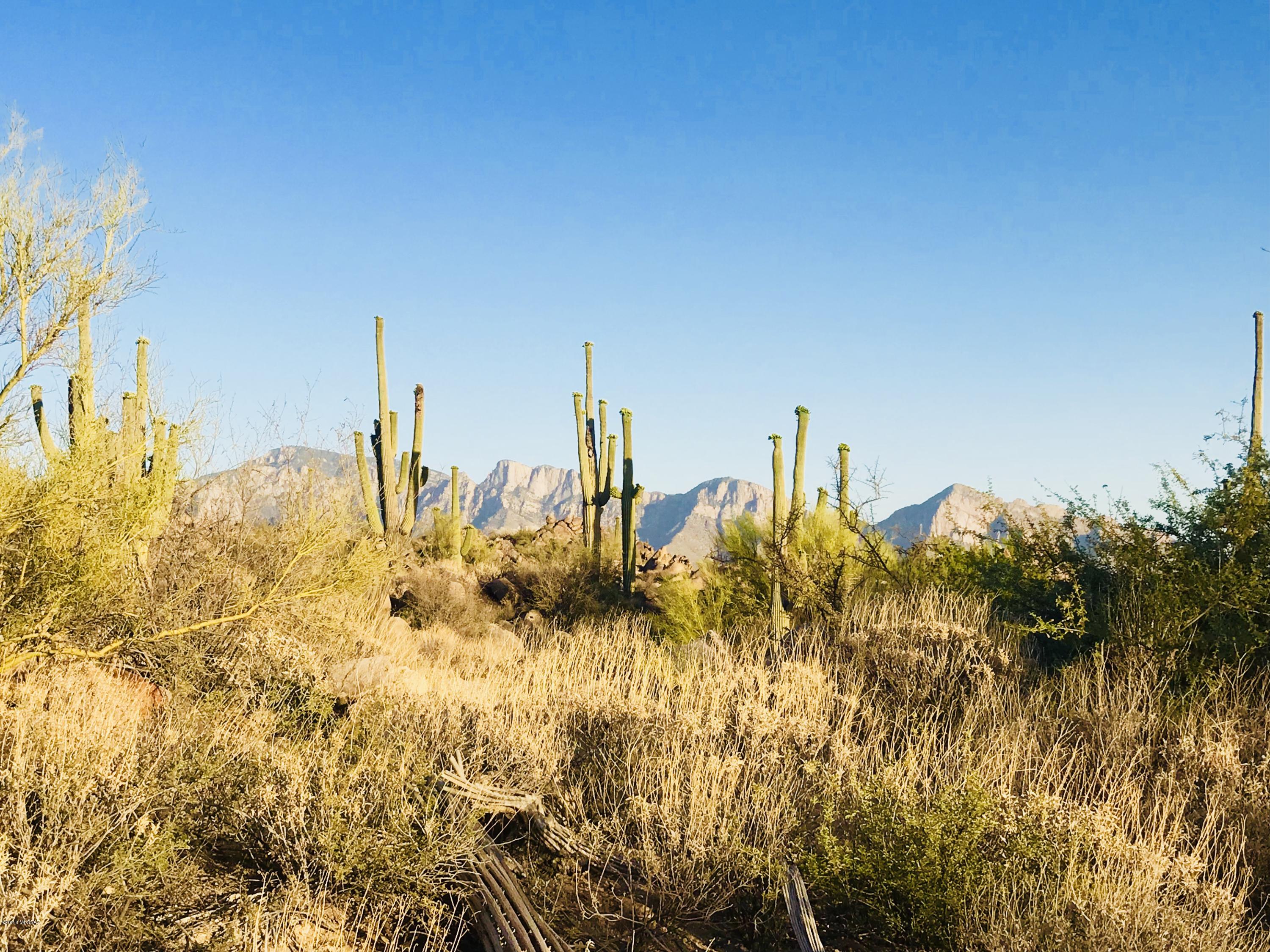Stone Canyon VII (404-485) - Land