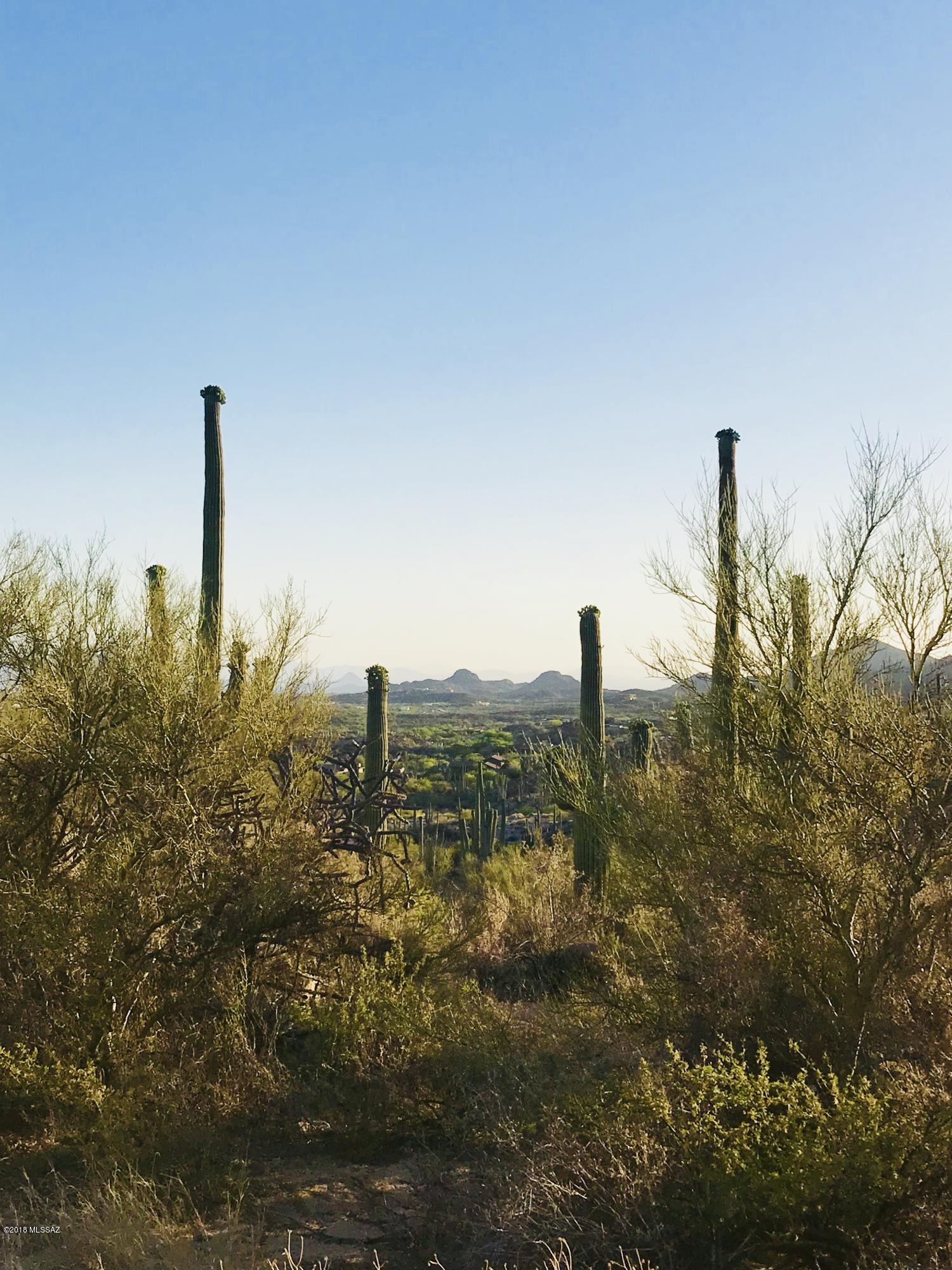 Stone Canyon VII (404-485) - Land