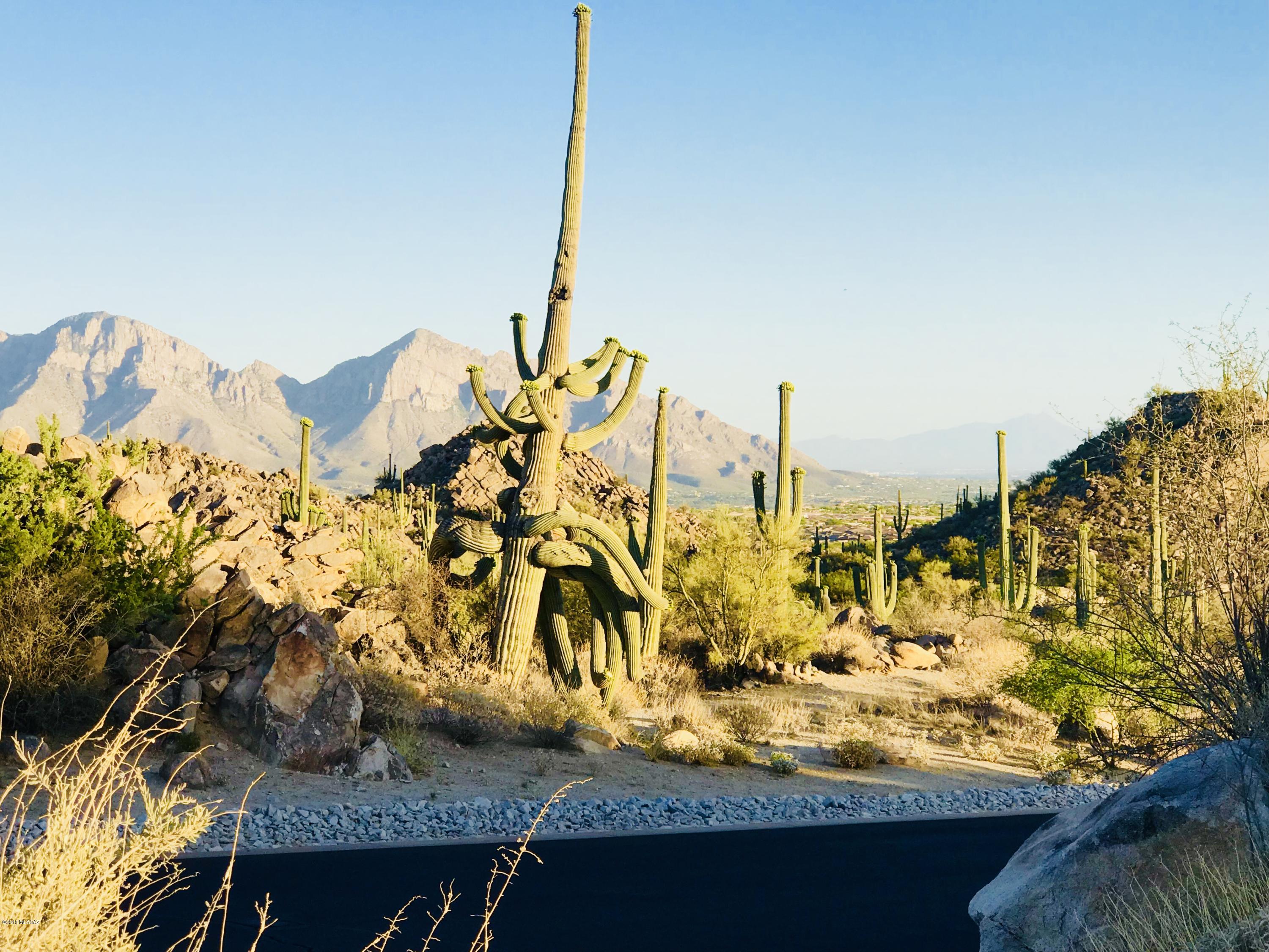 Stone Canyon VII (404-485) - Land
