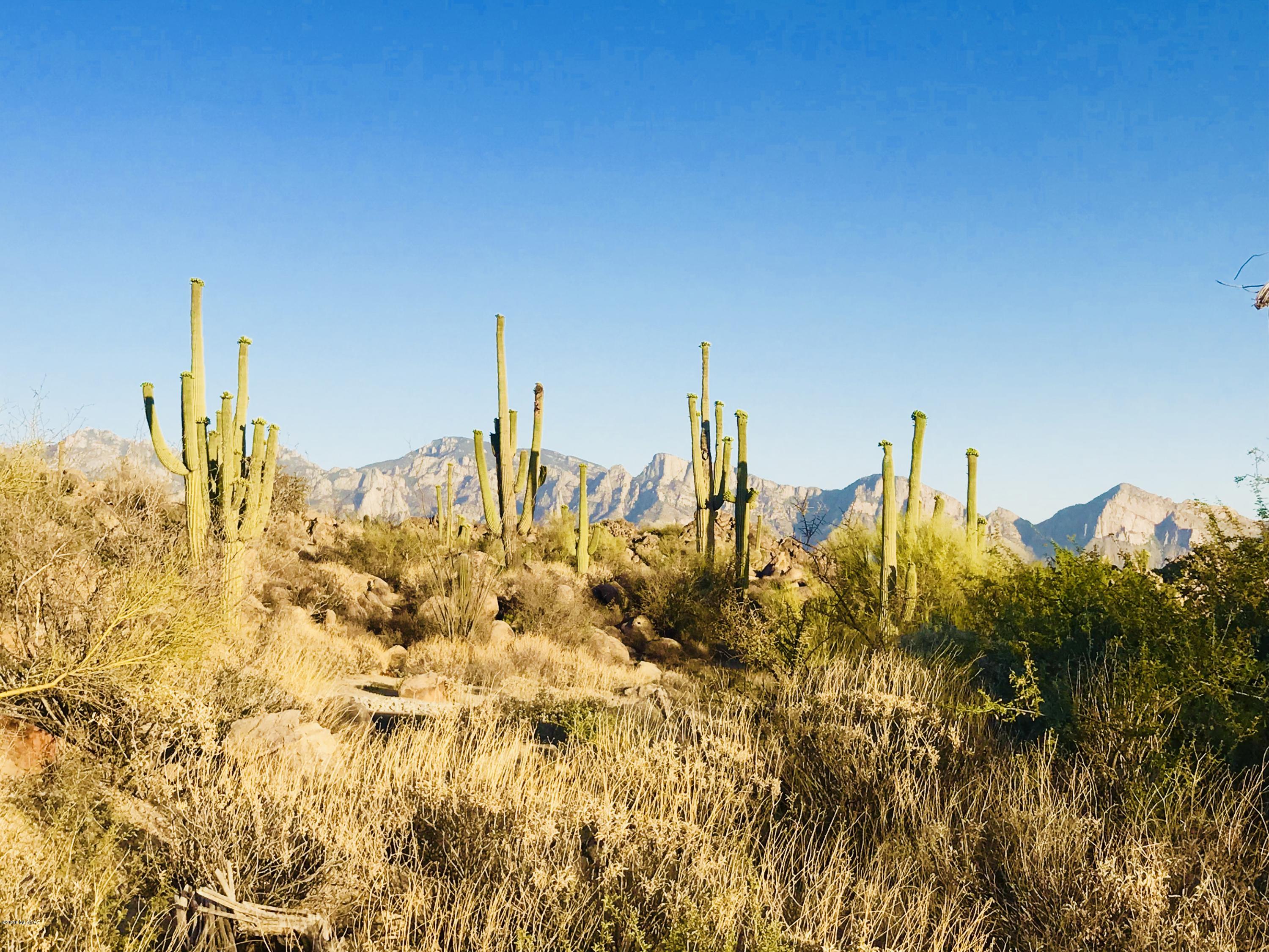 Stone Canyon VII (404-485) - Land