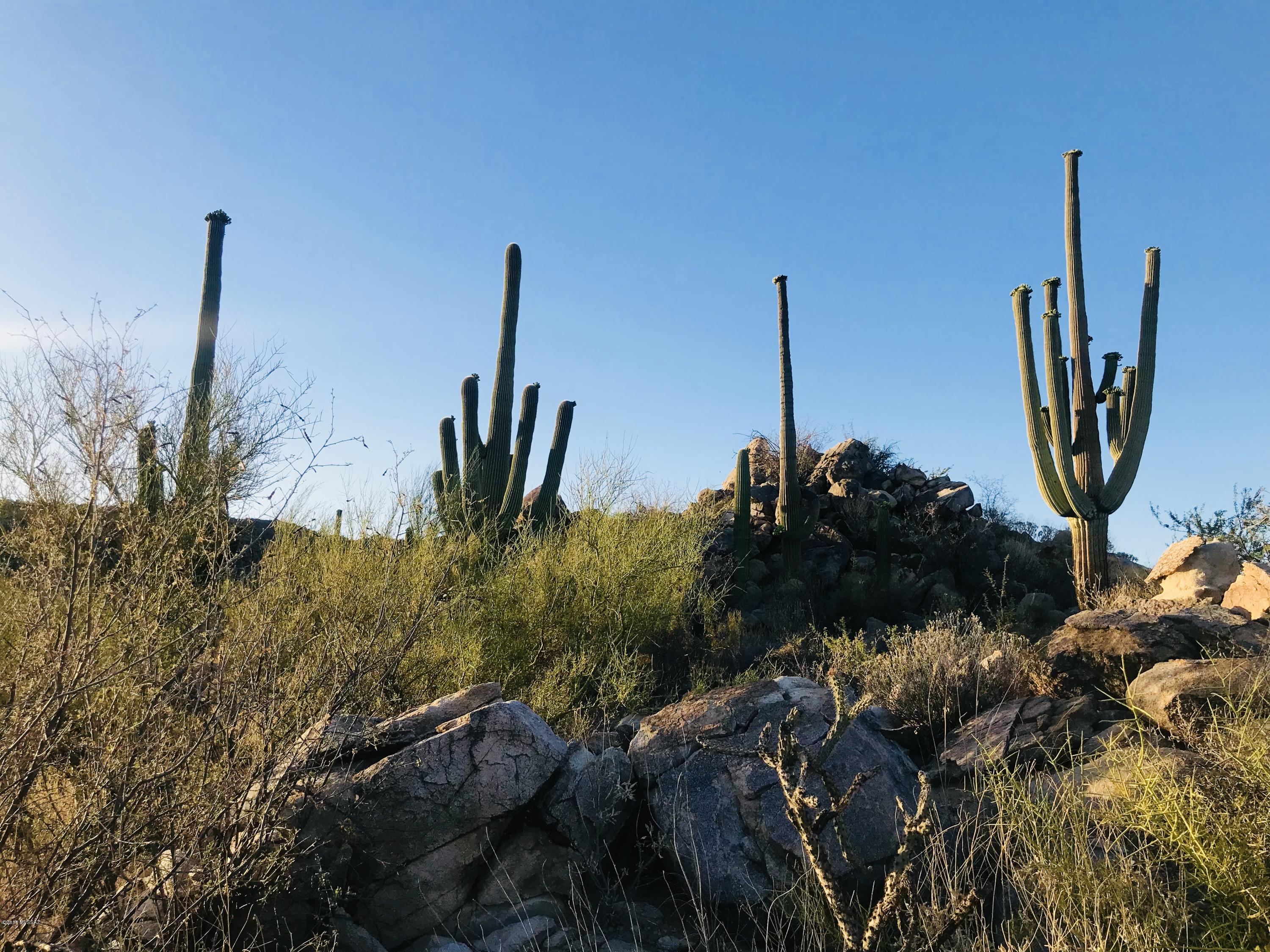 Stone Canyon VII (404-485) - Land